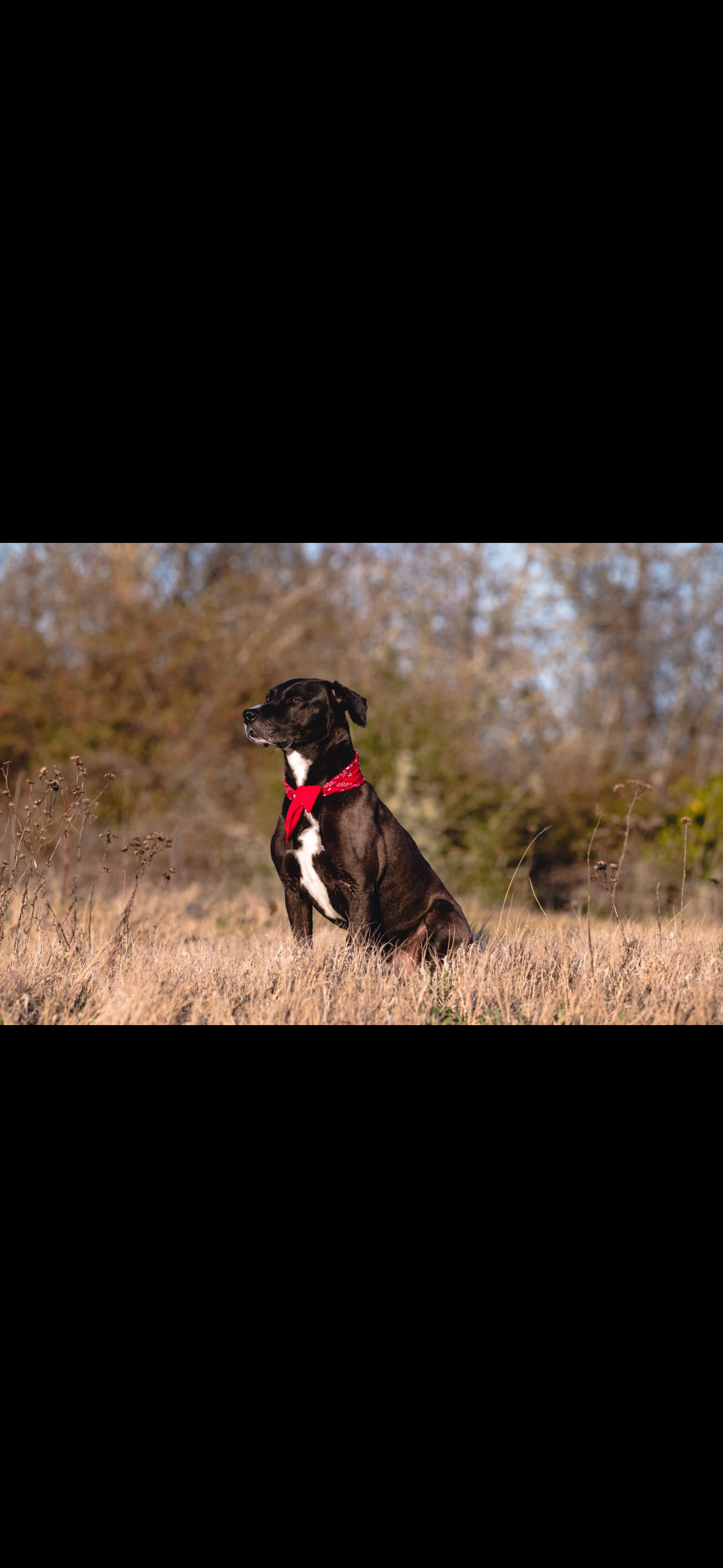 Help Dana recover from losing her best friend. campaign photo, 5 of 6