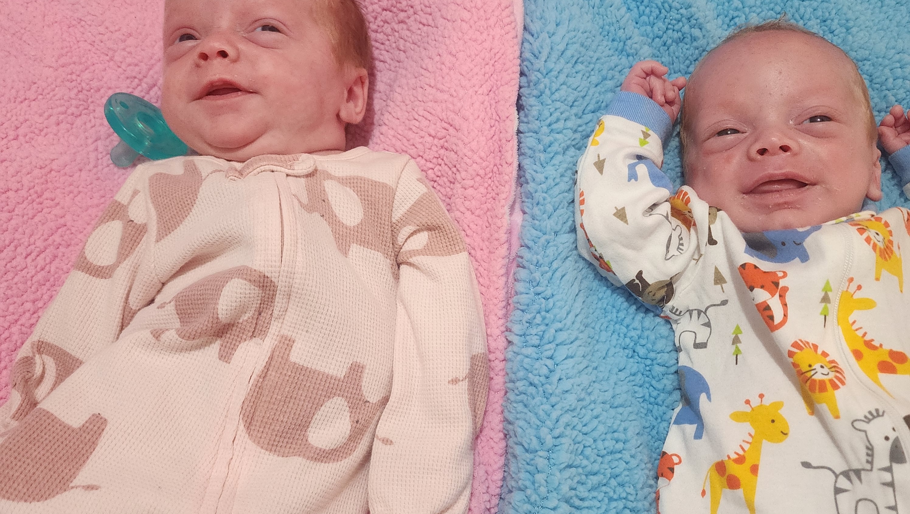 Help Amanda Get a Vehicle for Her Twins' Care photo