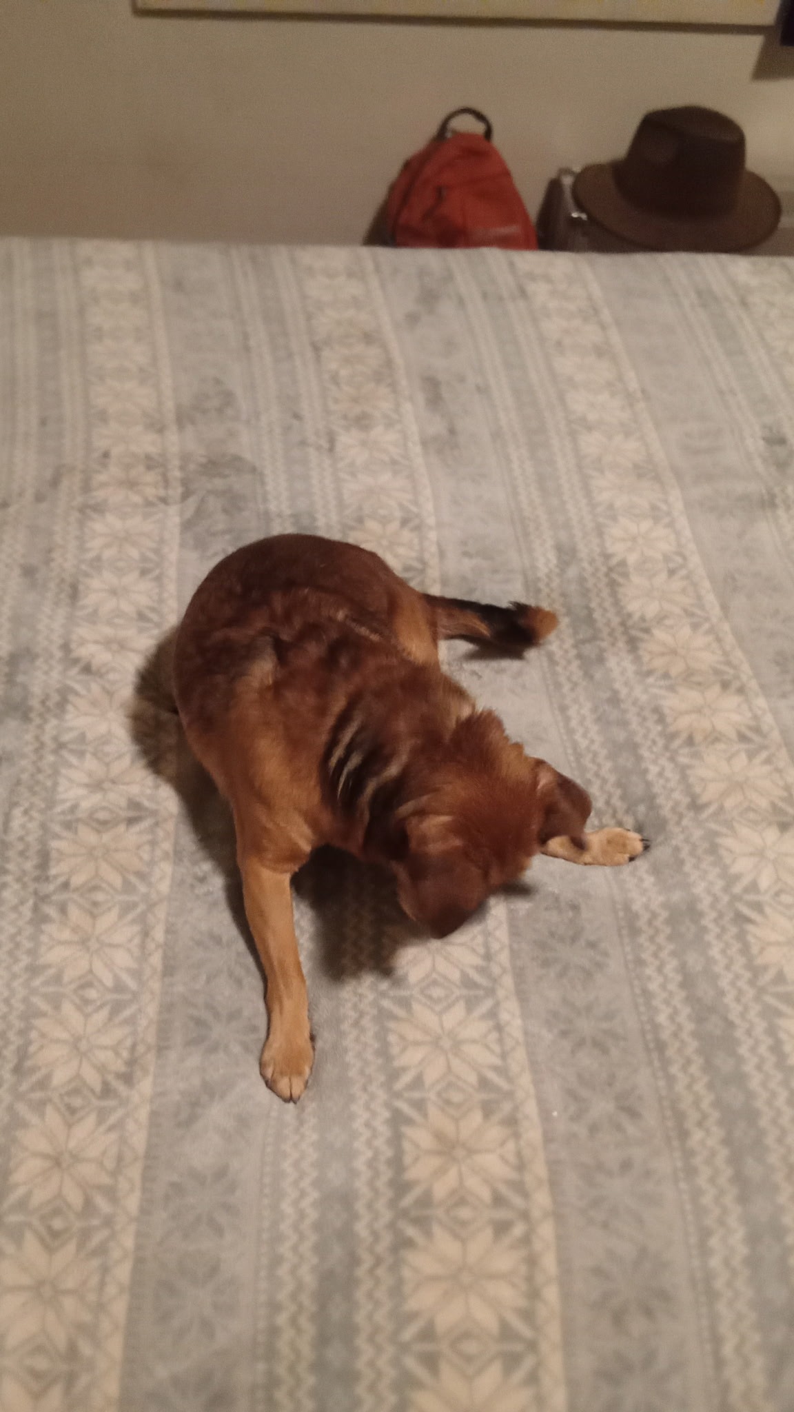 Help Prince Get Life-Saving Surgery campaign photo, 2 of 5
