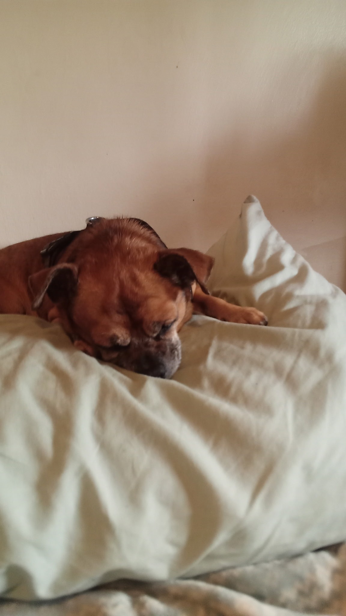 Help Prince Get Life-Saving Surgery campaign photo, 4 of 5