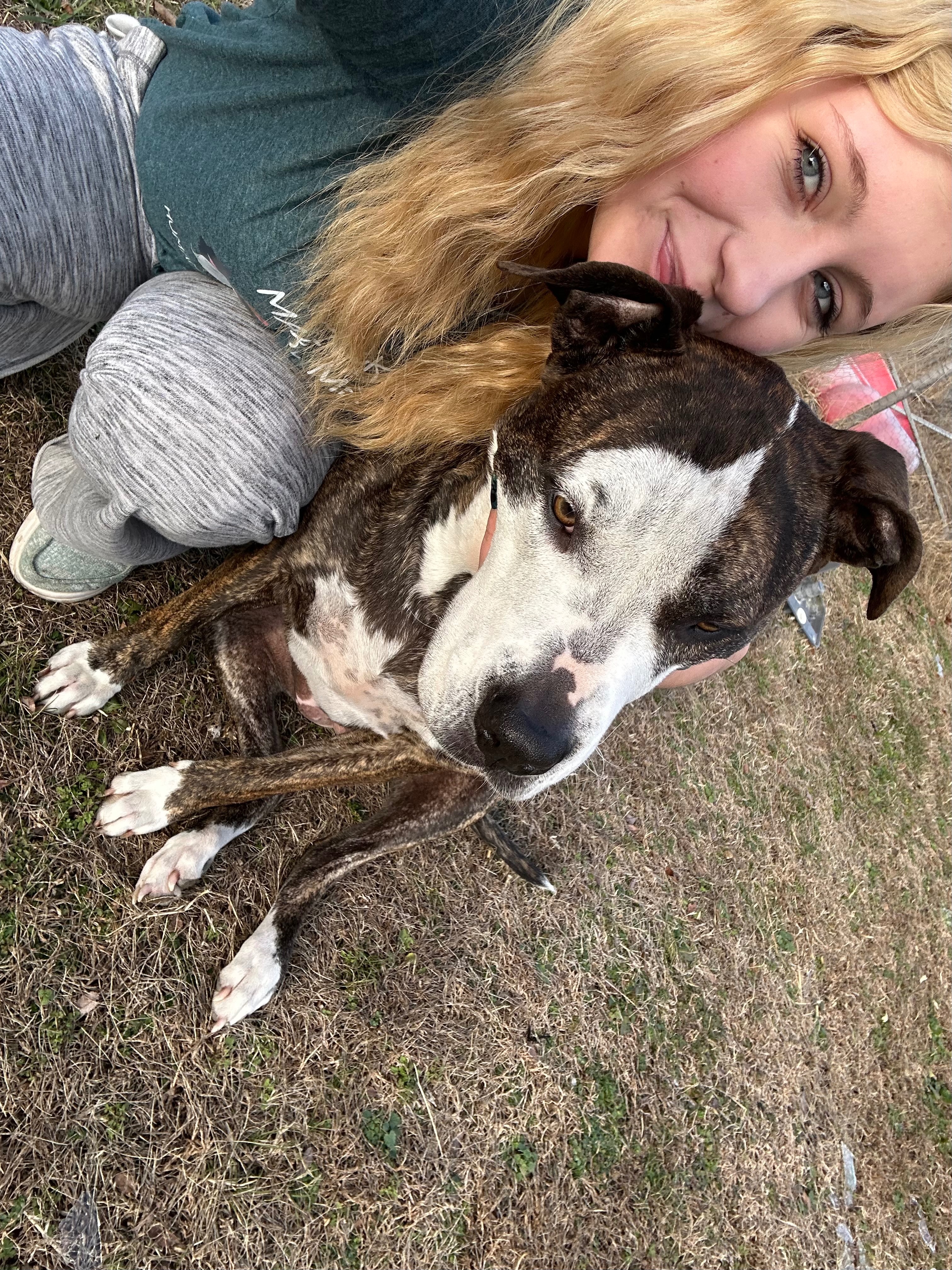 Save Star: Urgent Surgery Needed campaign photo, 6 of 8