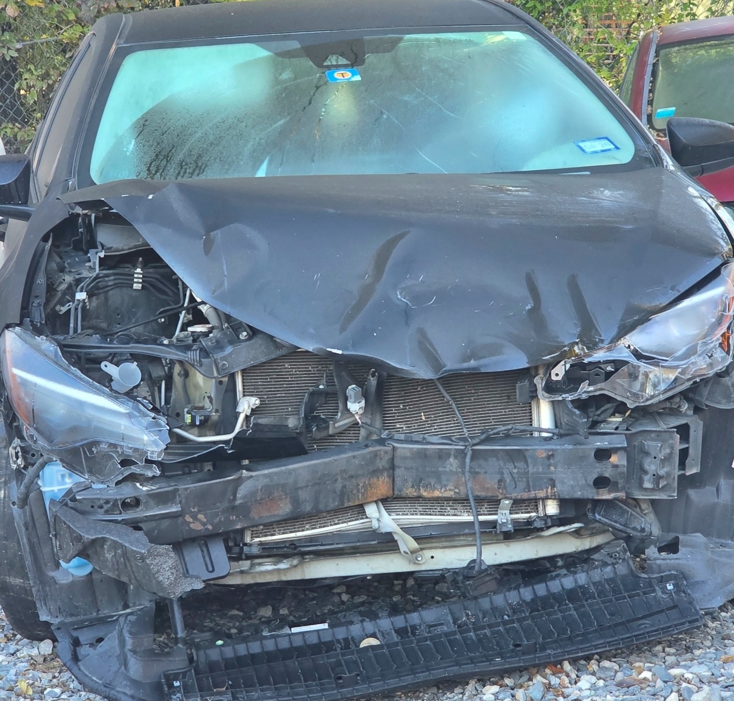 Support Needed After Severe Car Accident campaign photo, 7 of 8