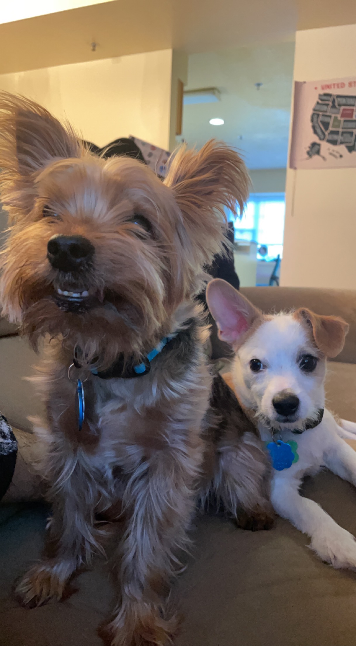 Help Teddy Bear Fuentes Get Lifesaving Care campaign photo, 7 of 8