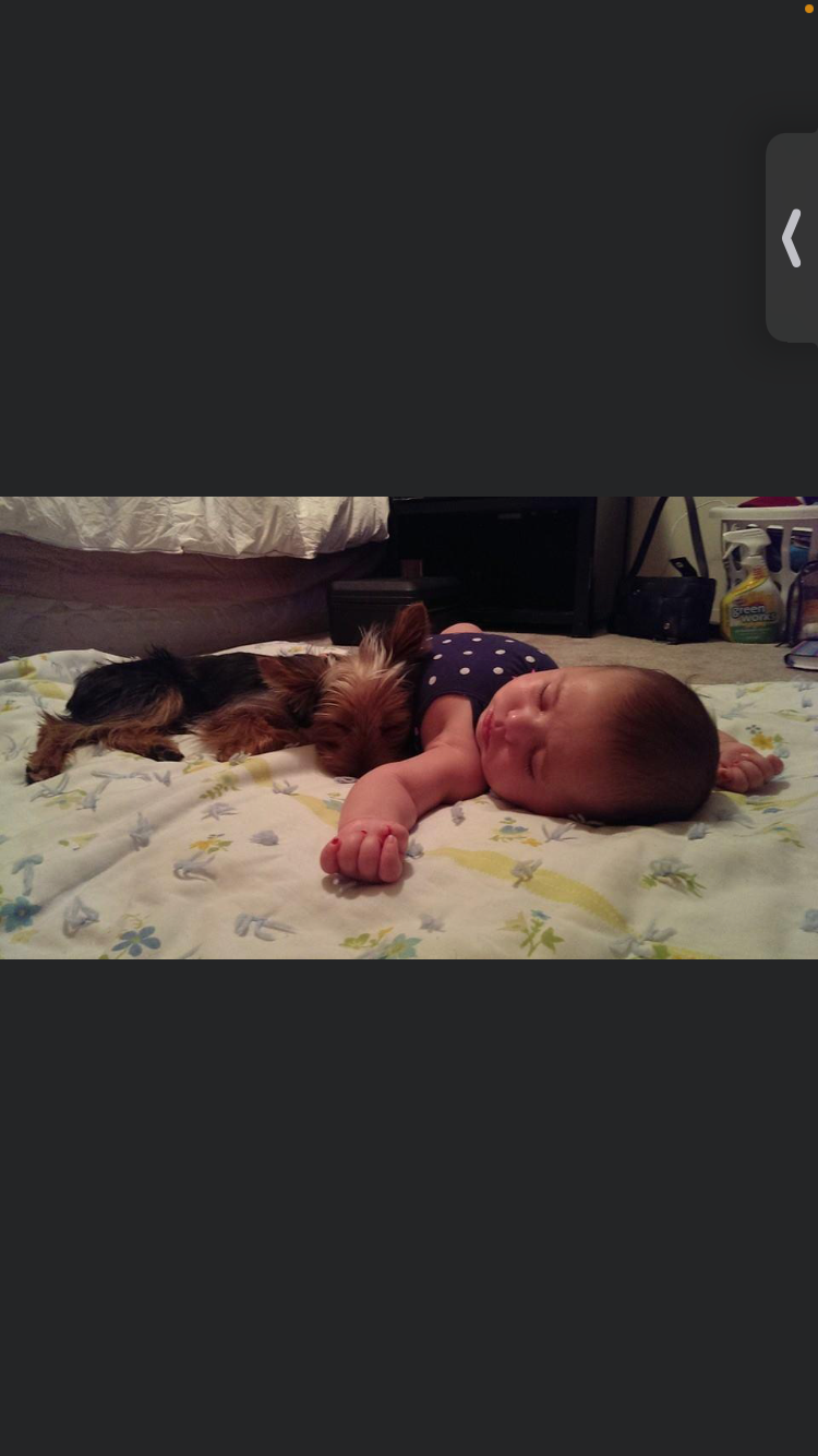 Help Teddy Bear Fuentes Get Lifesaving Care campaign photo, 2 of 8