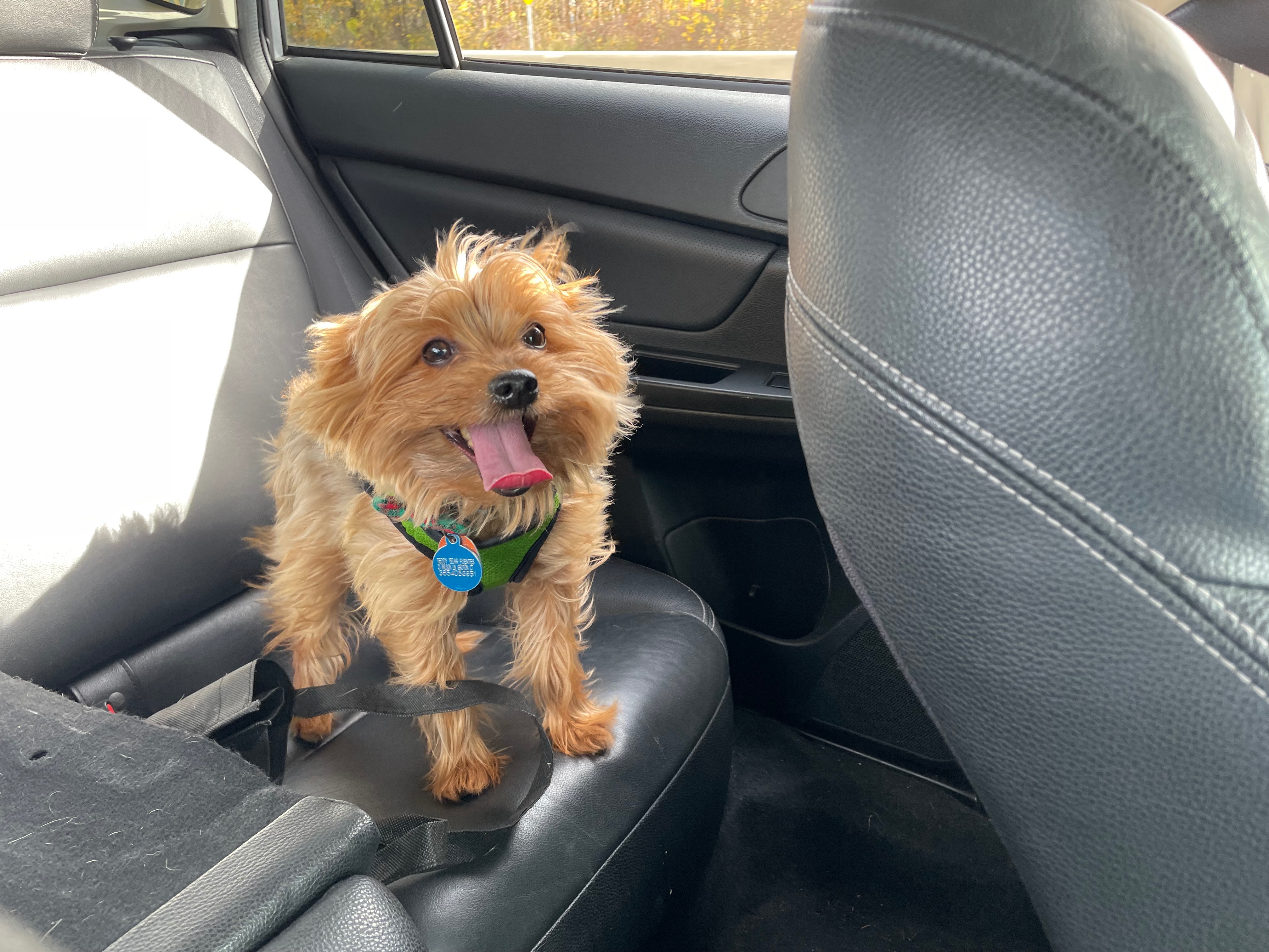 Help Teddy Bear Fuentes Get Lifesaving Care campaign photo, 5 of 8