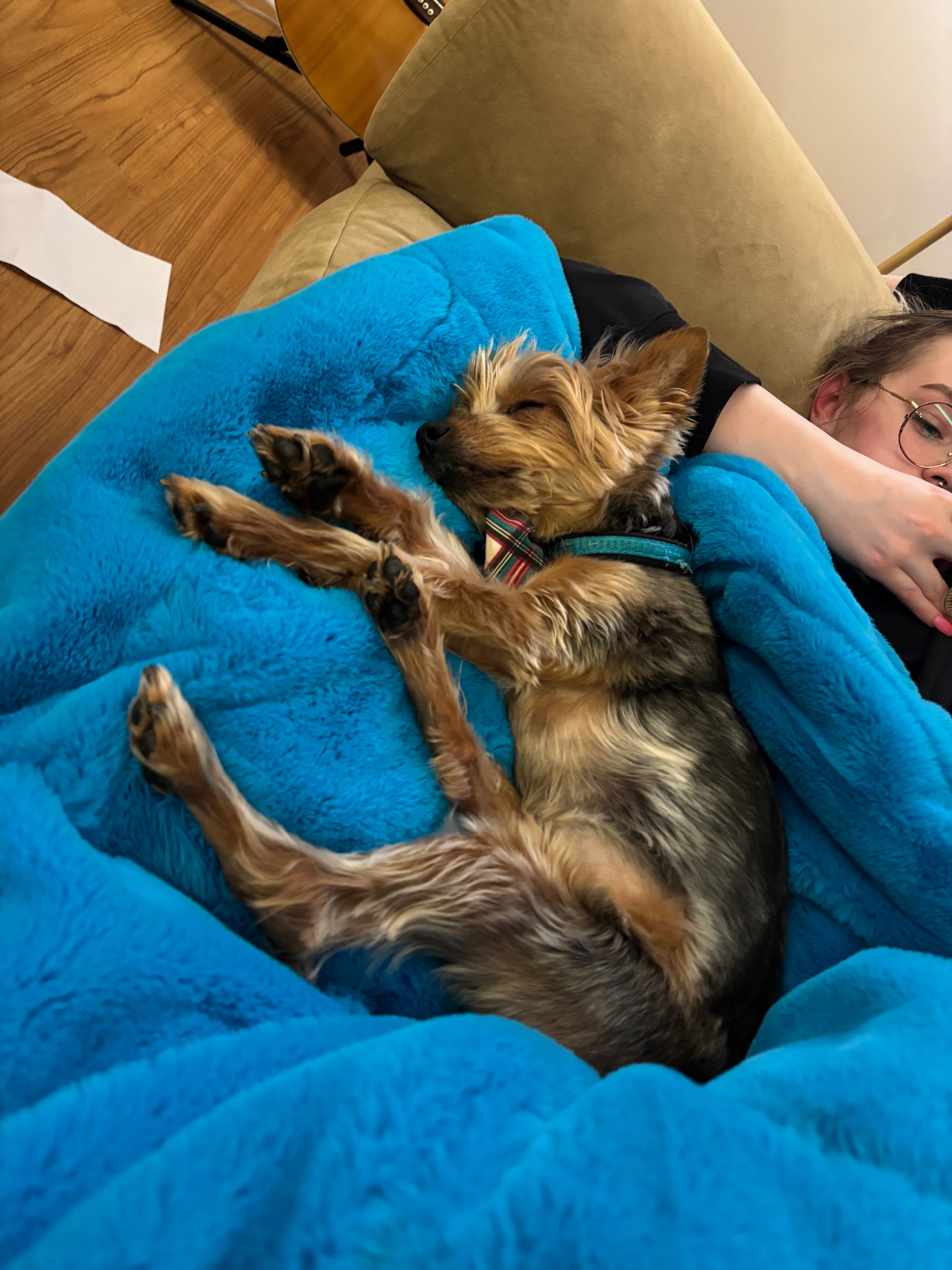 Help Teddy Bear Fuentes Get Lifesaving Care campaign photo, 6 of 8