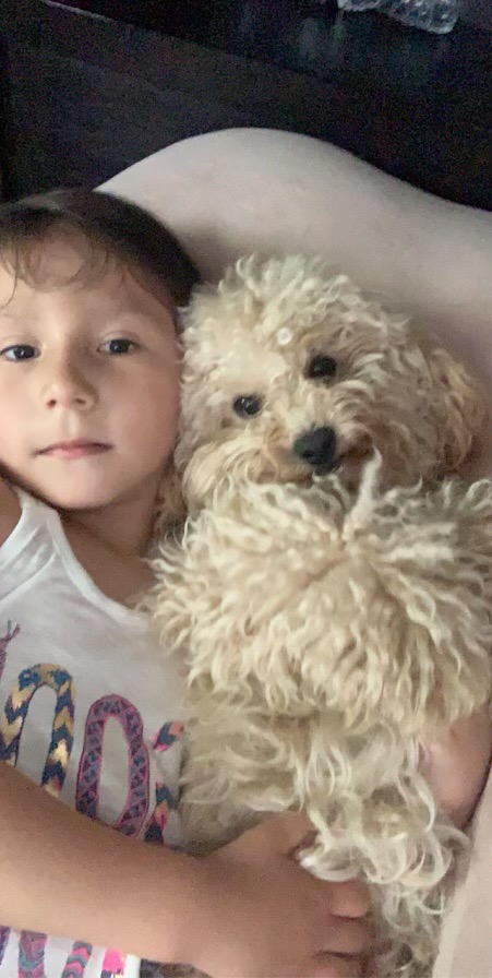 Help Honor Mia’s Memory campaign photo, 2 of 8