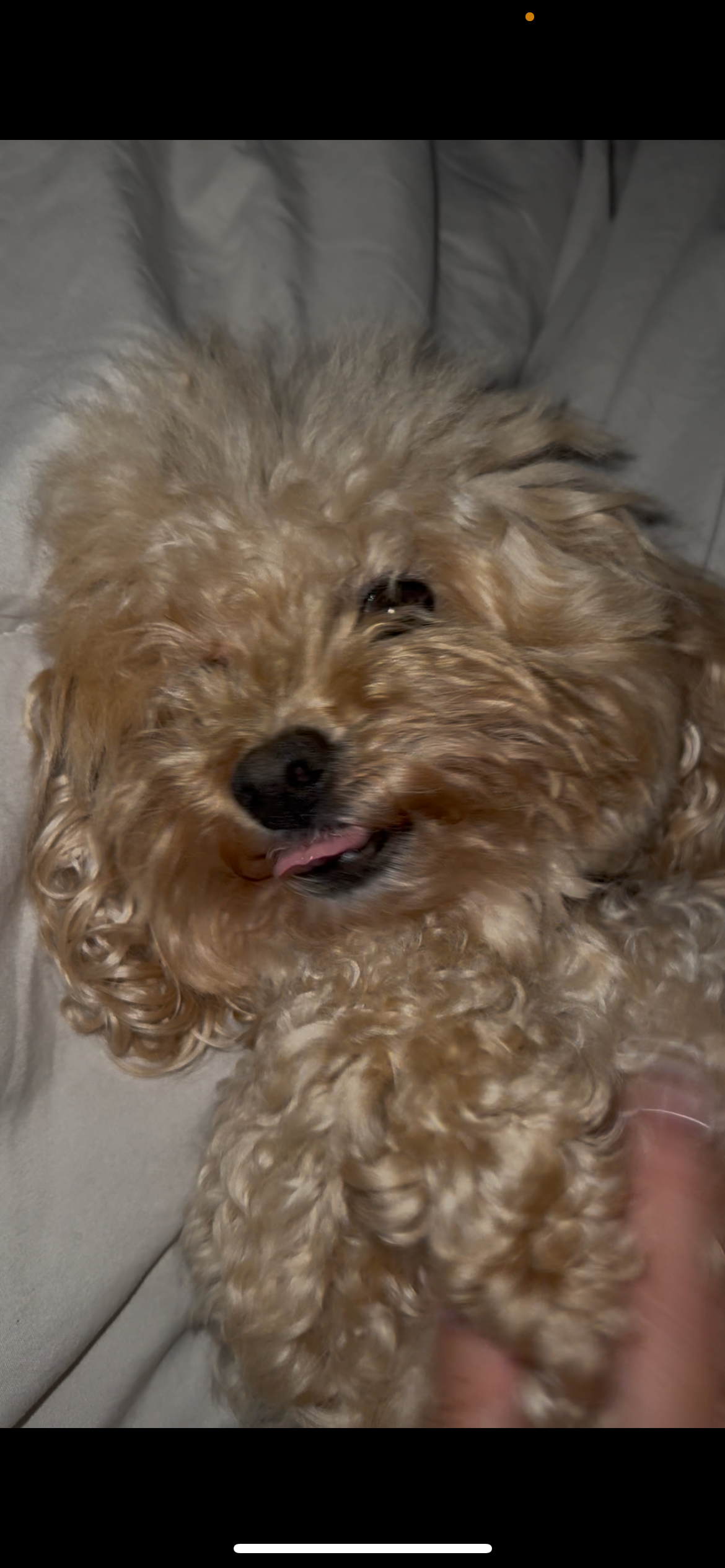 Help Honor Mia’s Memory campaign photo, 5 of 8