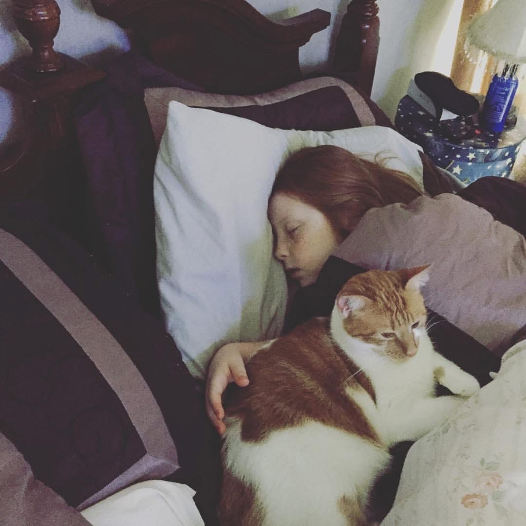 Help Butterscotch Get the MRI He Desperately Needs campaign photo, 5 of 8