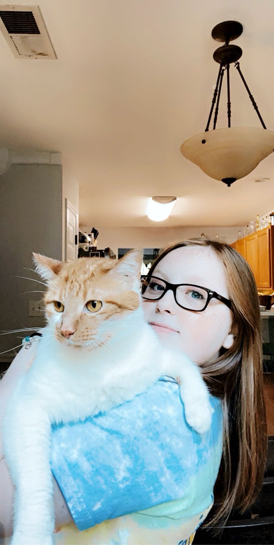 Help Butterscotch Get the MRI He Desperately Needs campaign photo, 4 of 8
