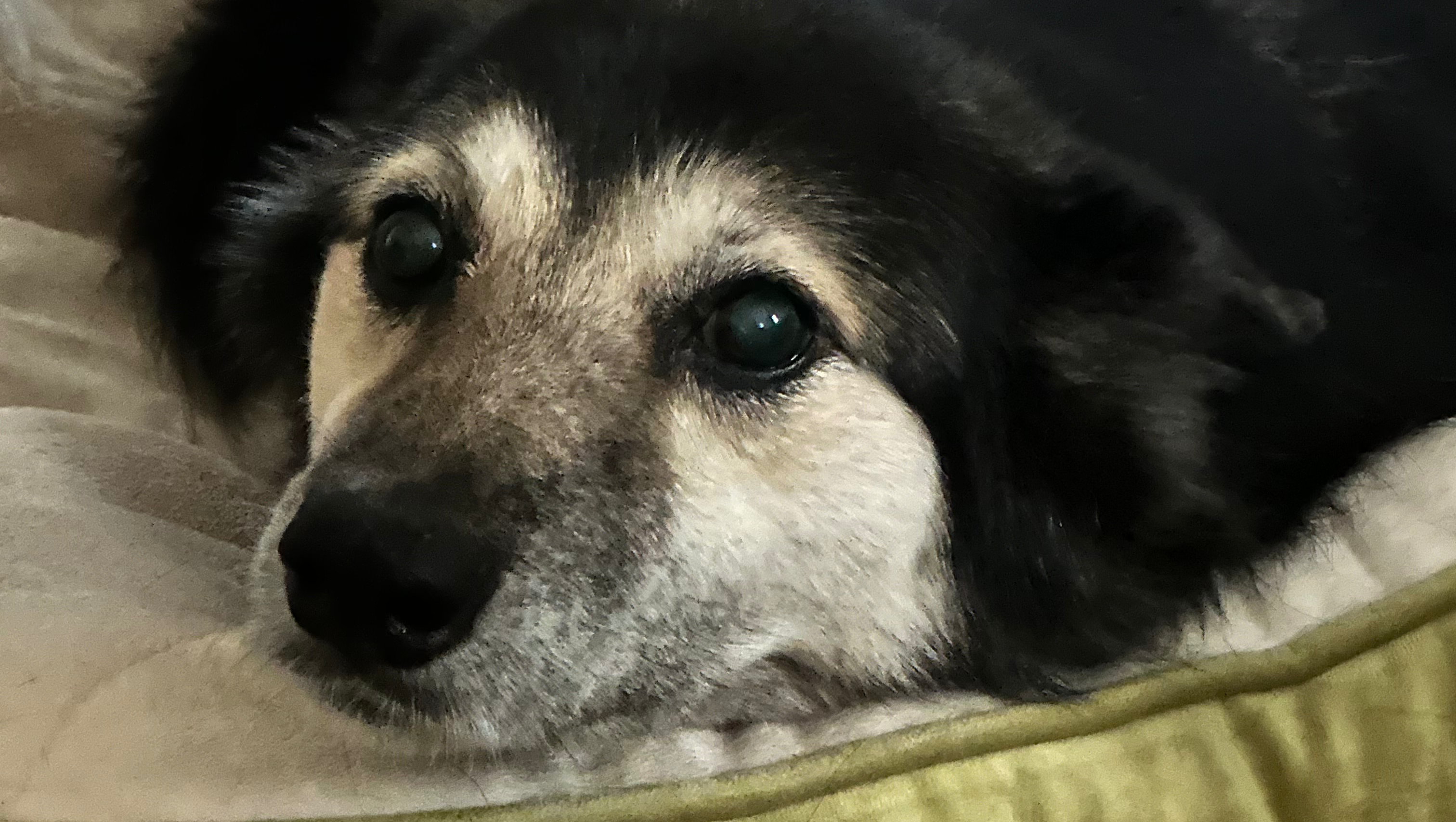 Fundraiser by Madeline Jefferson : Support Mae Mae's Medical Journey