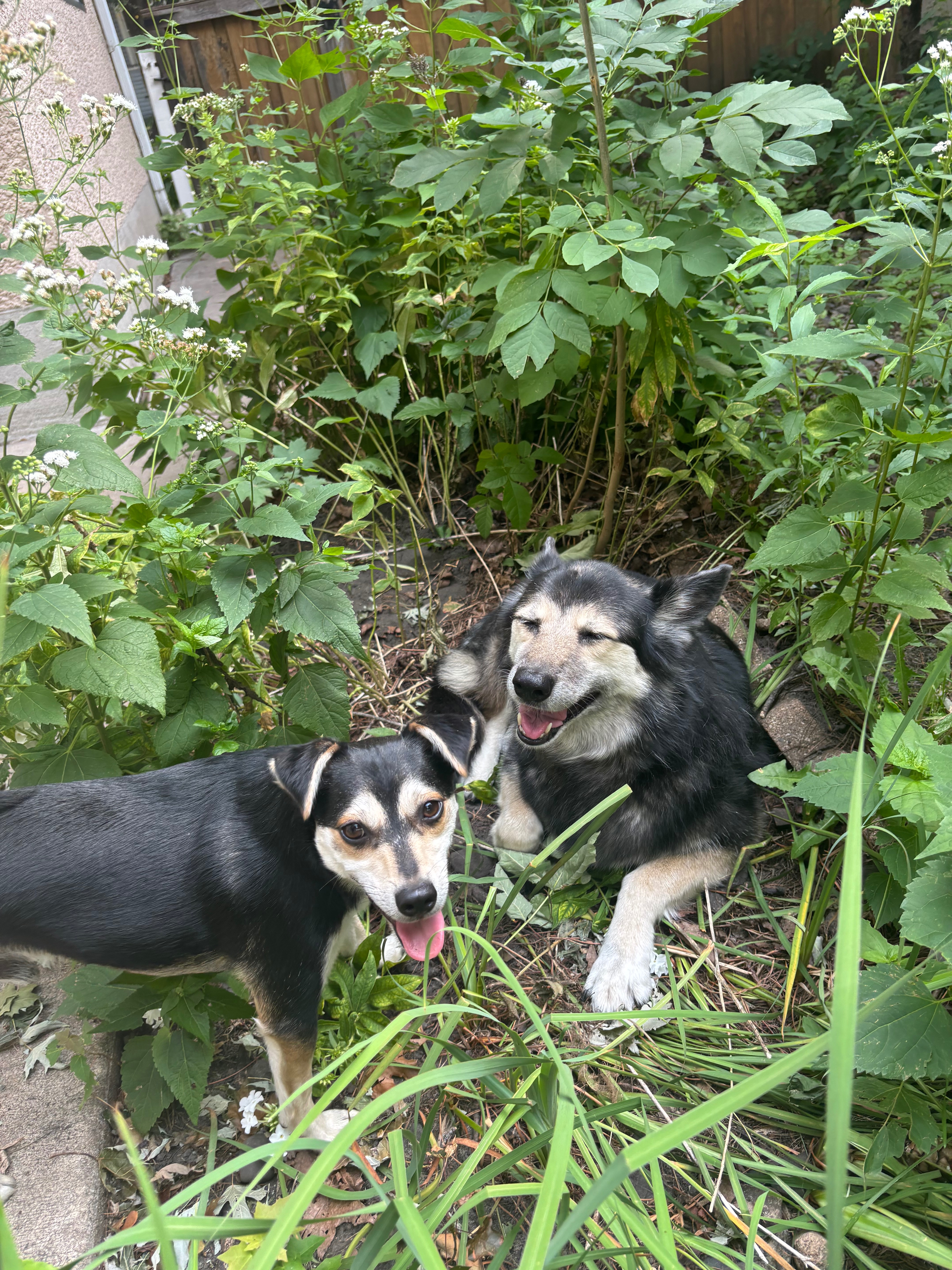 Support Mae Mae's Medical Journey campaign photo, 2 of 7