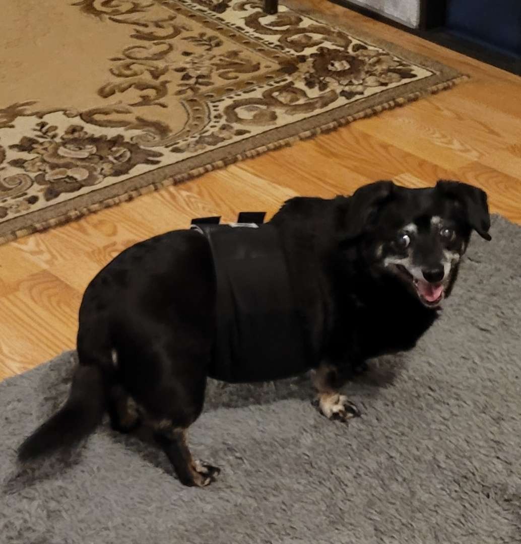 User-uploaded image 1