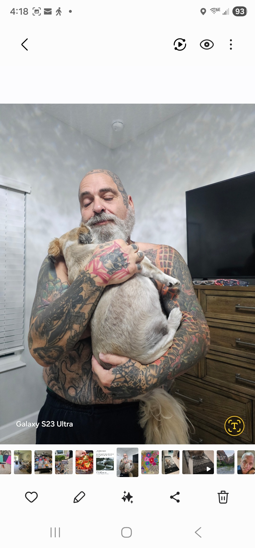 Help Give Louie the Farewell He Deserves campaign photo, 5 of 8