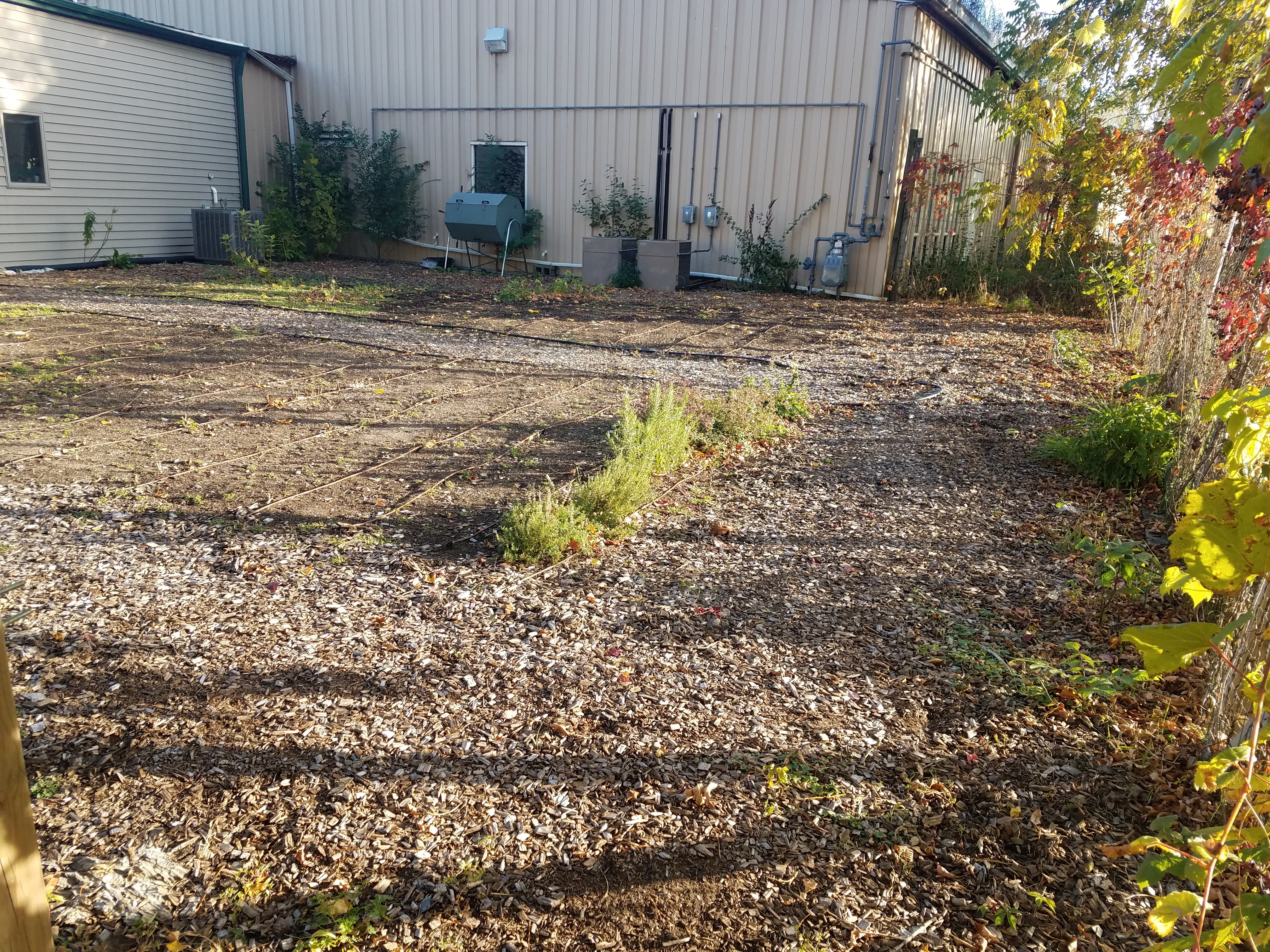 Eagle Scout Project for White Bear Area Food Shelf campaign photo, 2 of 4