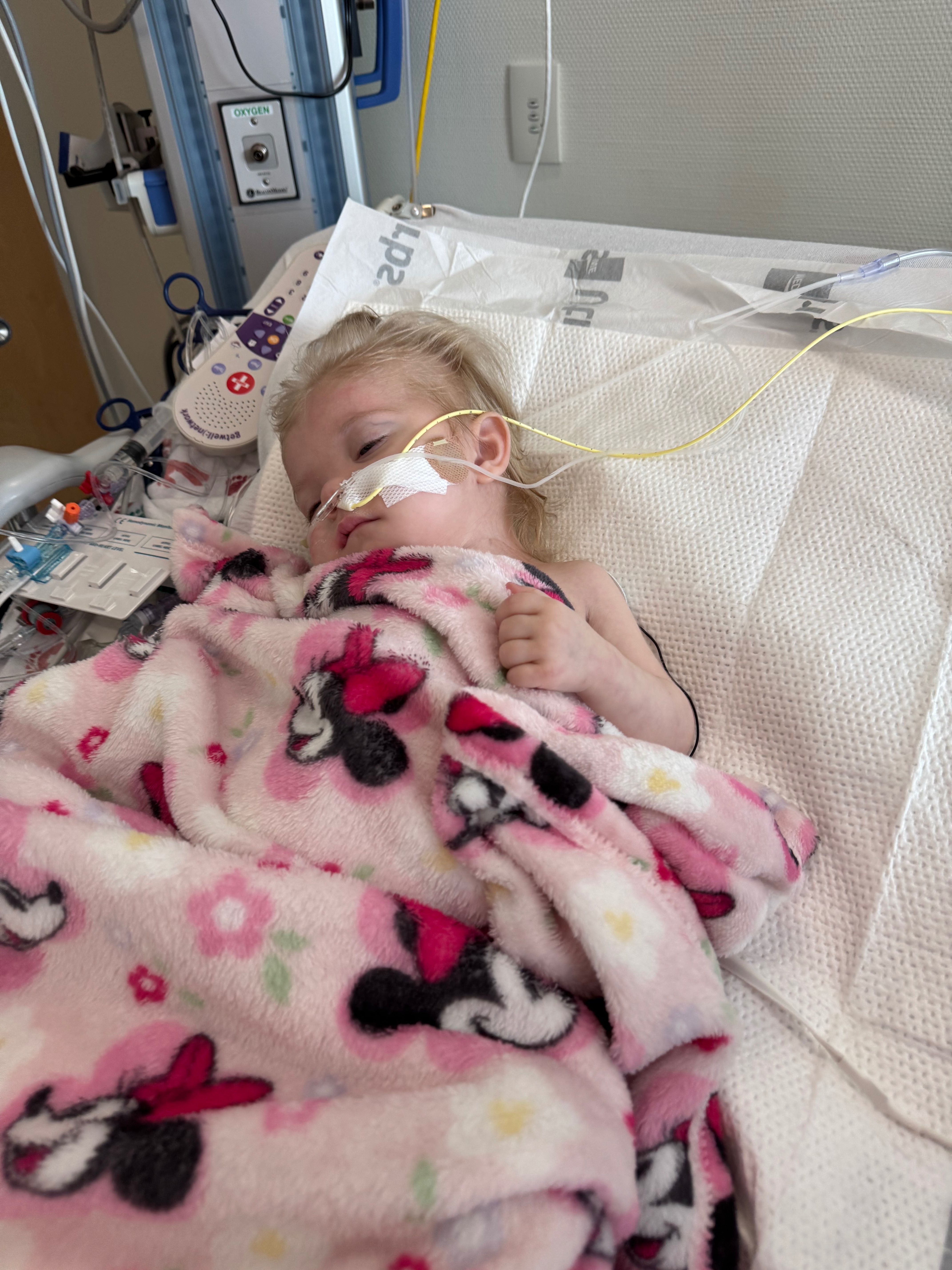 Support Romee's Journey to Recovery campaign photo, 5 of 8