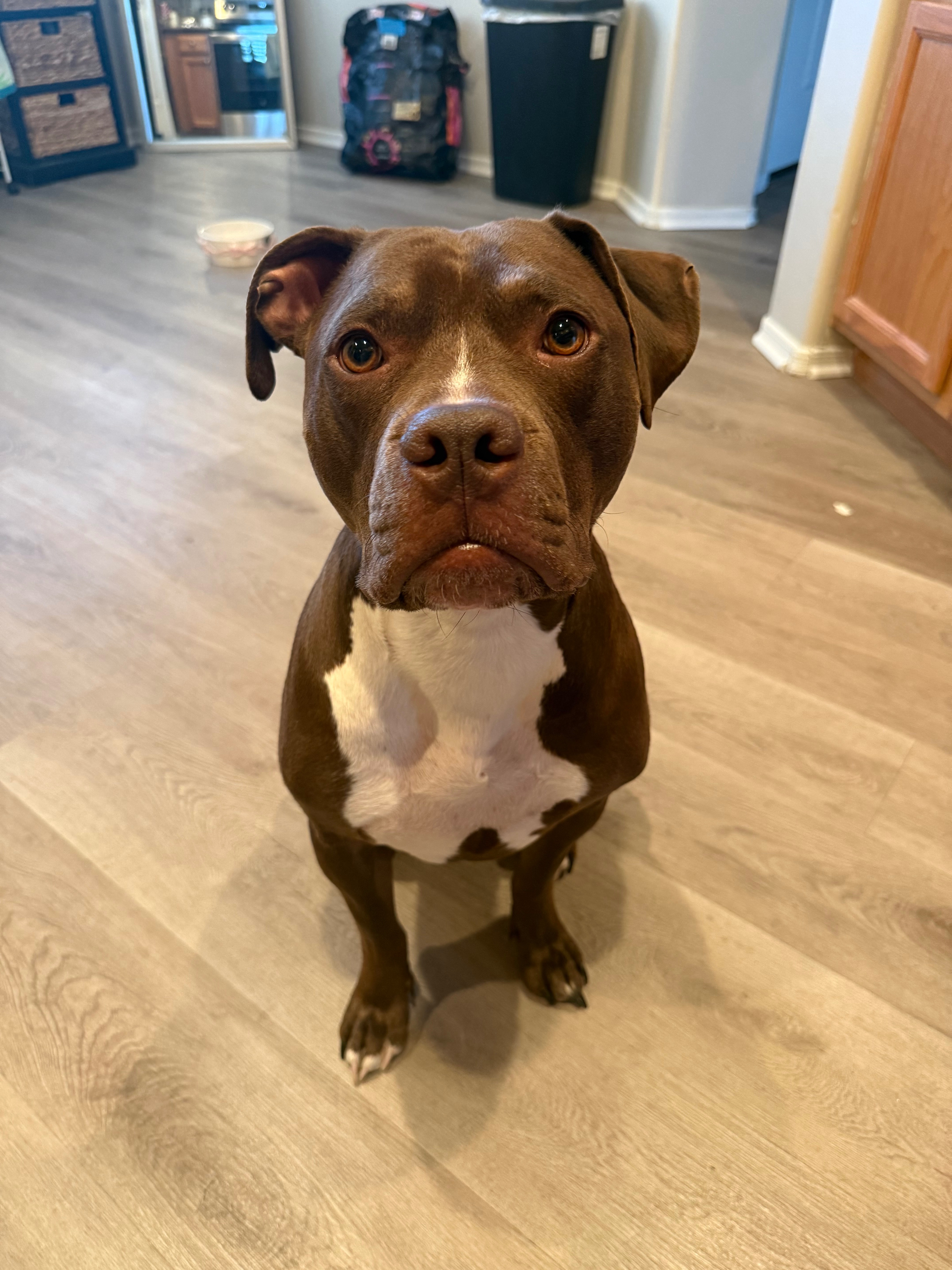 Support Rudy's Life-Saving Surgery campaign photo, 4 of 8