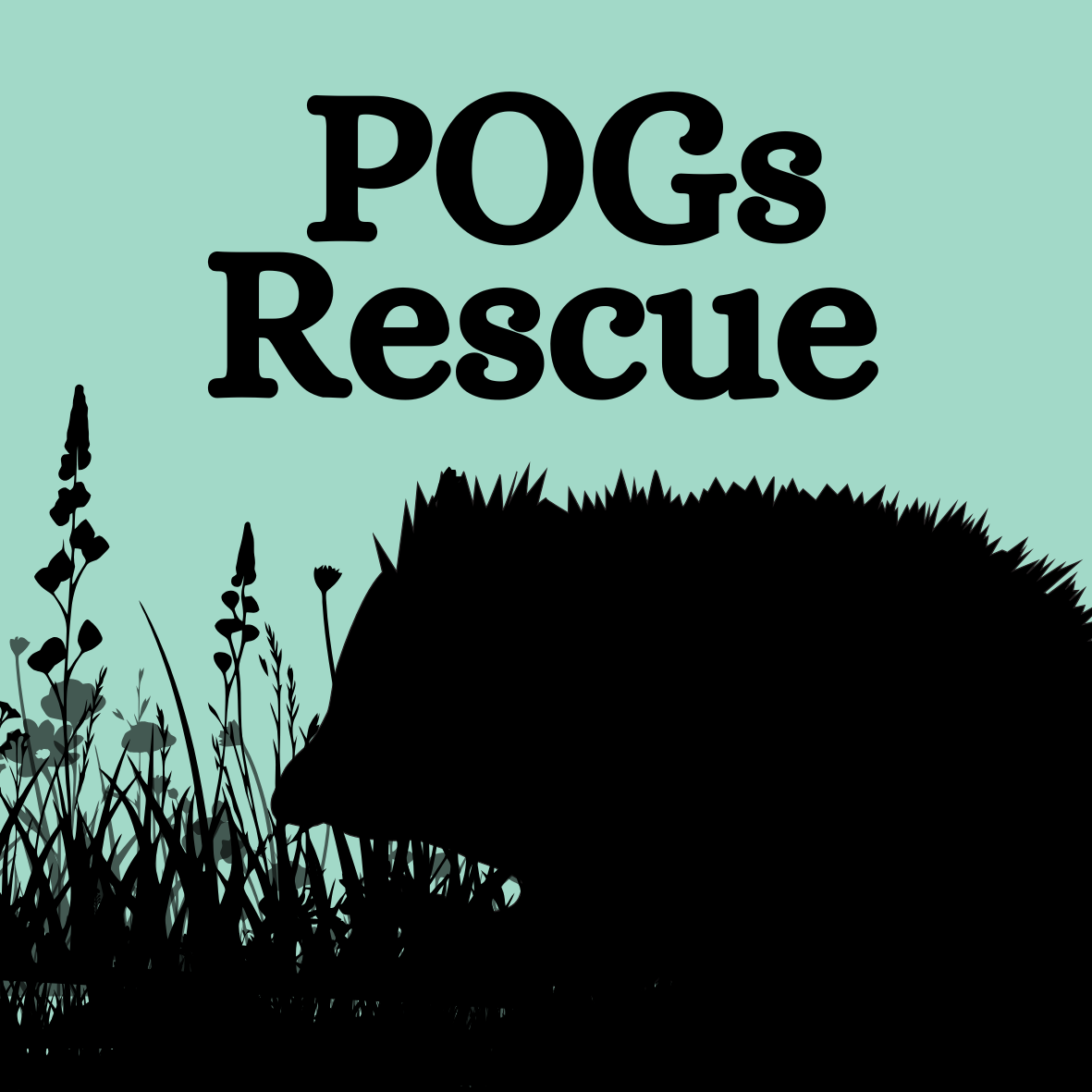 POGS RESCUE campaign photo, 4 of 8