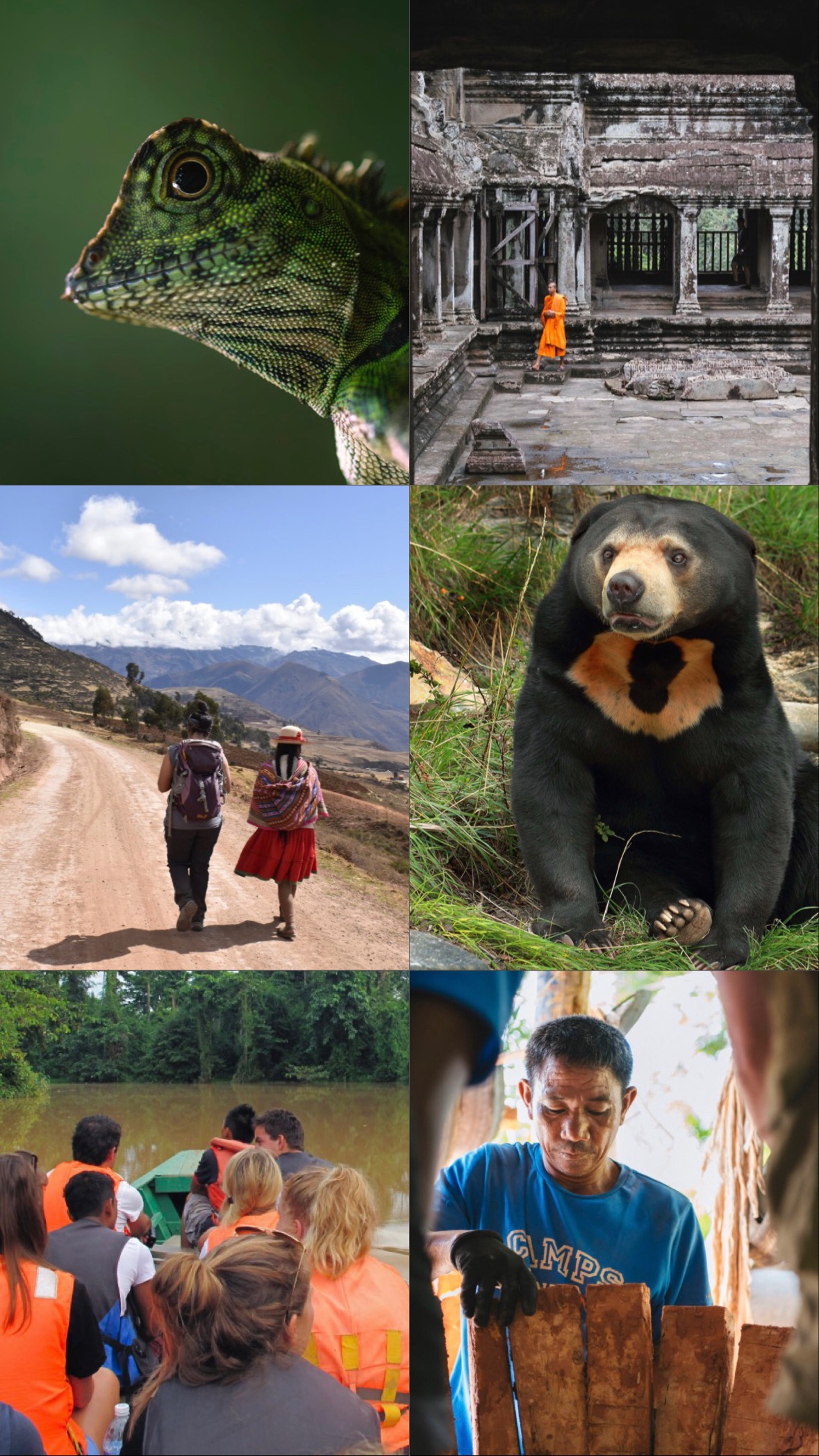 Borneo volunteer, environment conservation and education campaign photo, 6 of 7