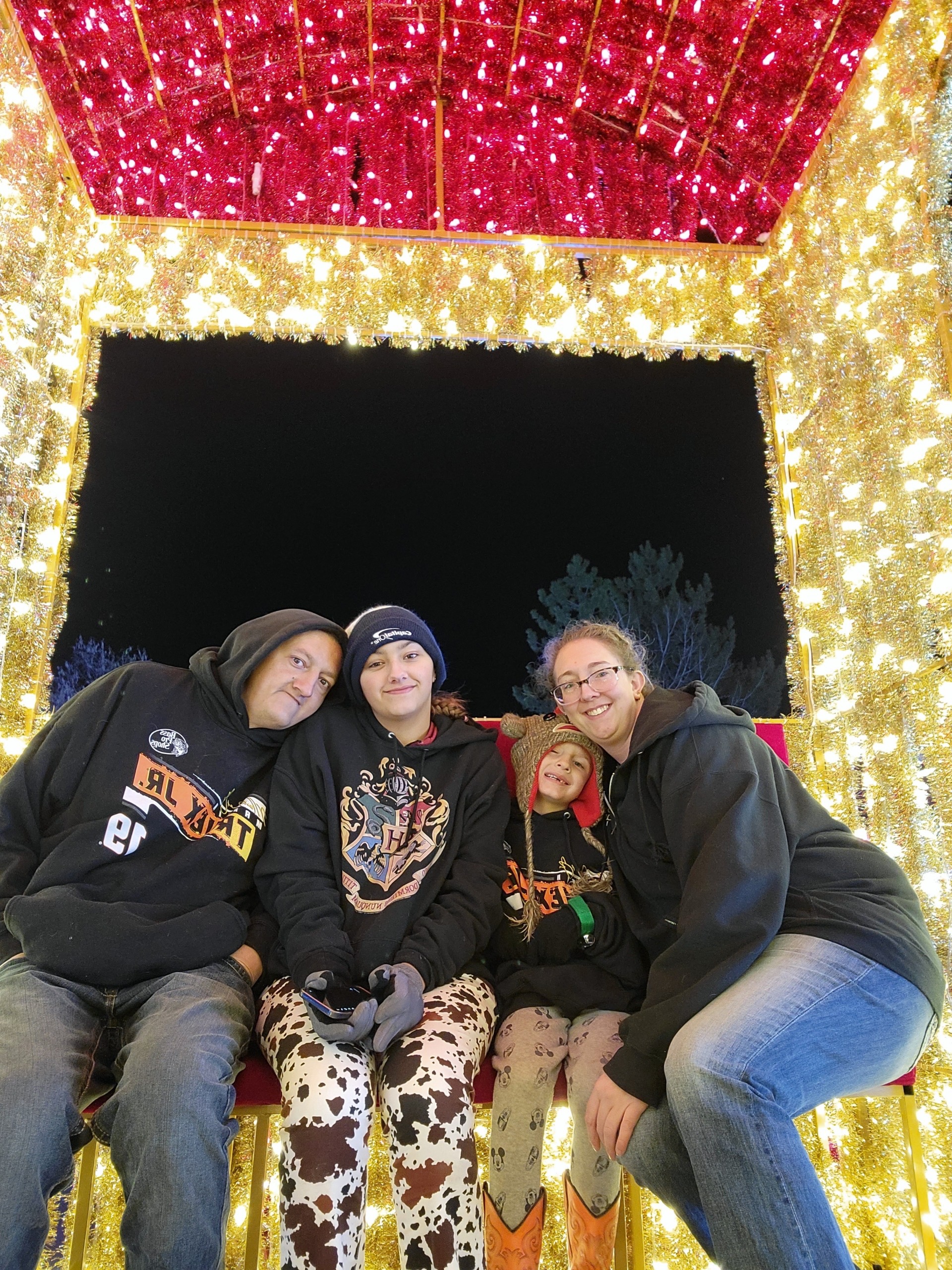 Provide Stability for Laura Erickson's Grieving Family campaign photo, 2 of 7