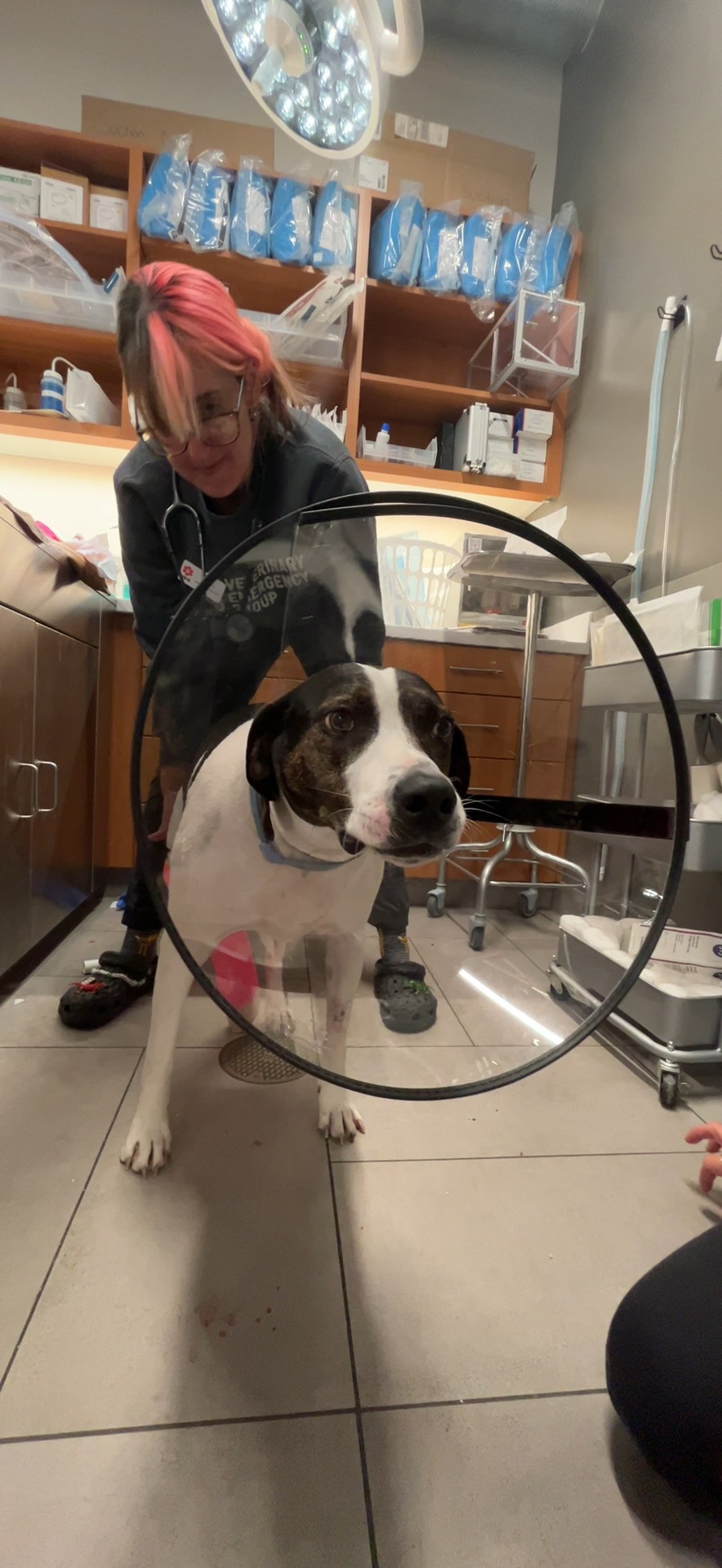 Support Emma's Urgent Surgery campaign photo, 7 of 8