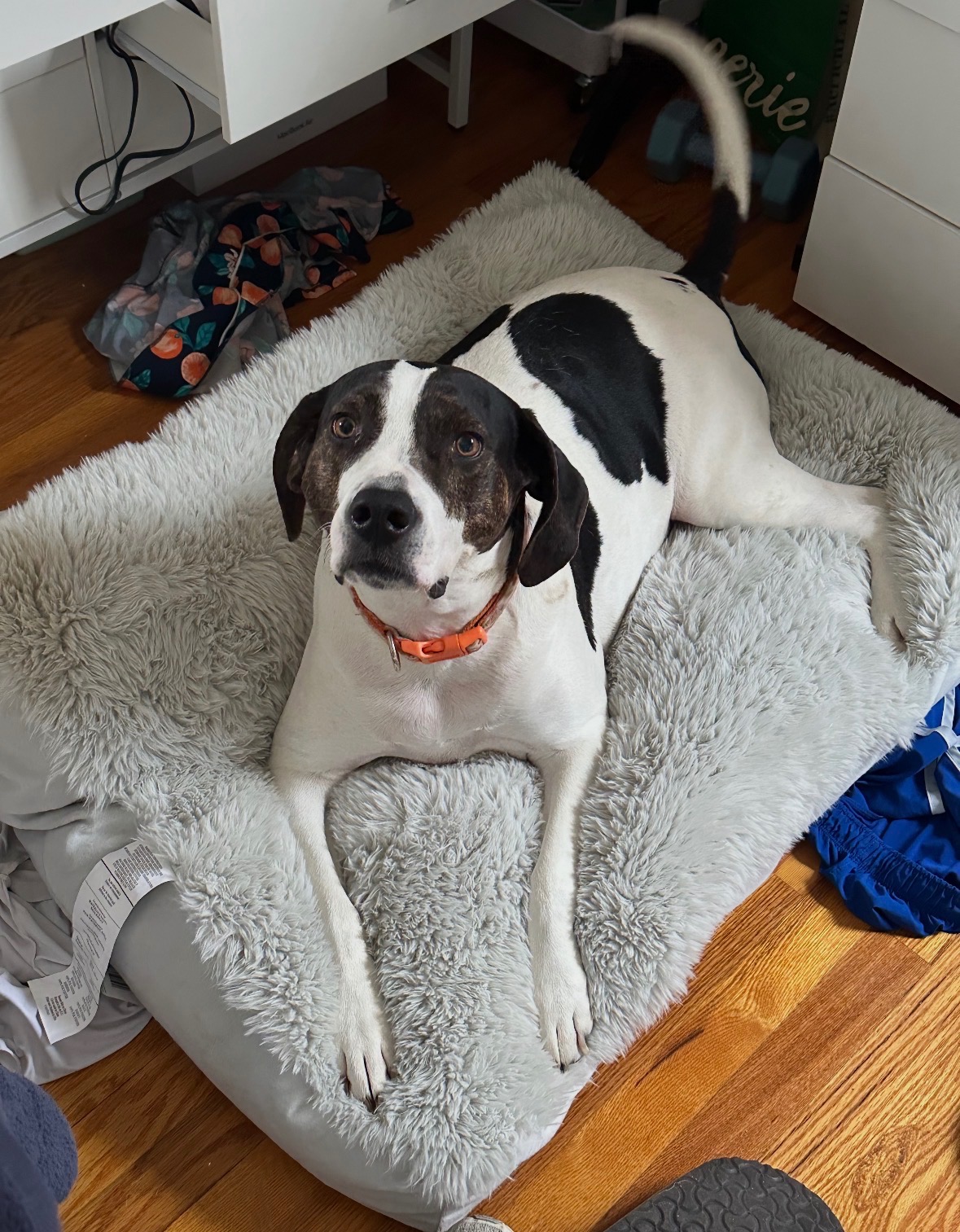 Support Emma's Urgent Surgery campaign photo, 6 of 8
