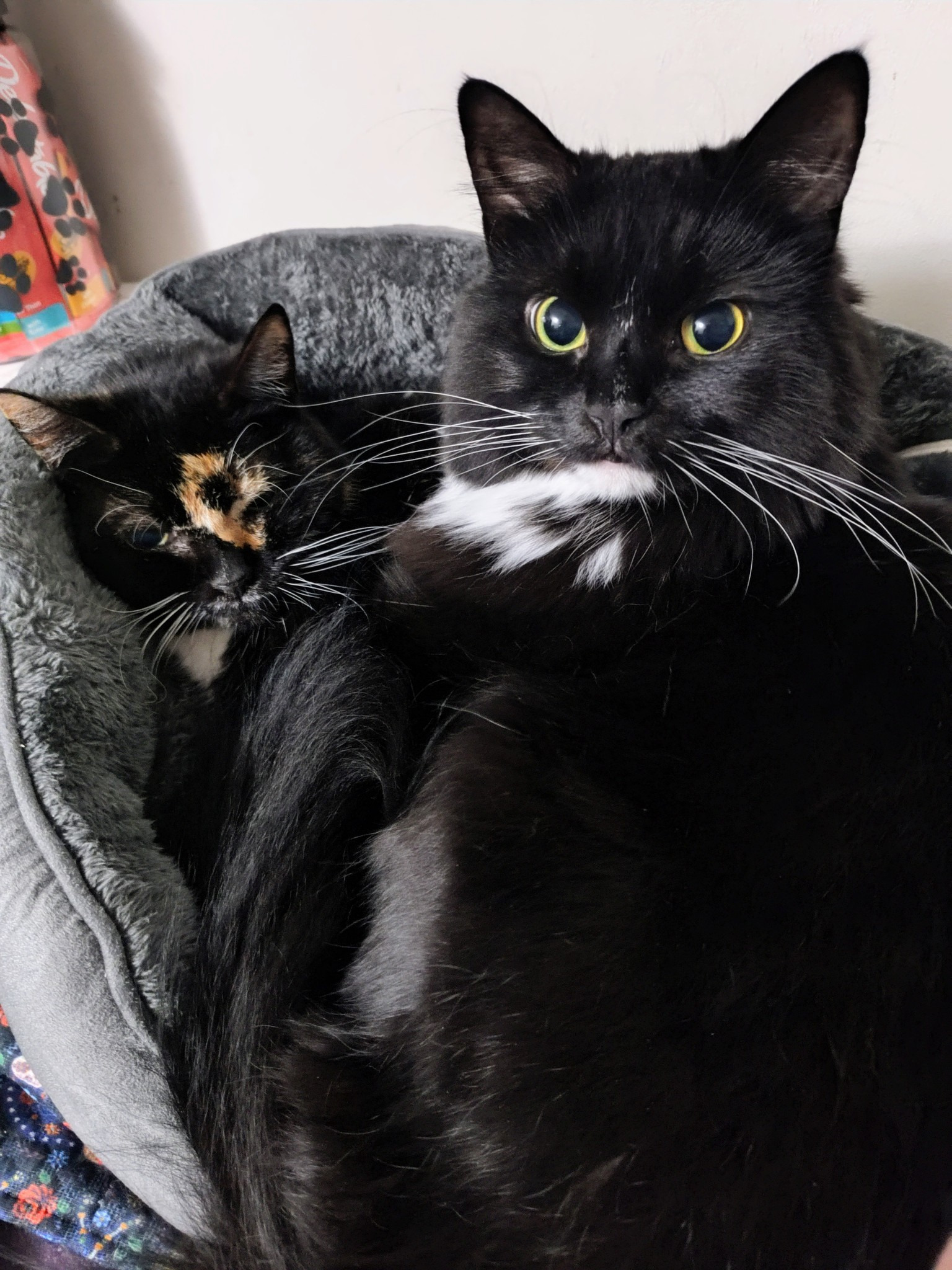 User-uploaded image 1