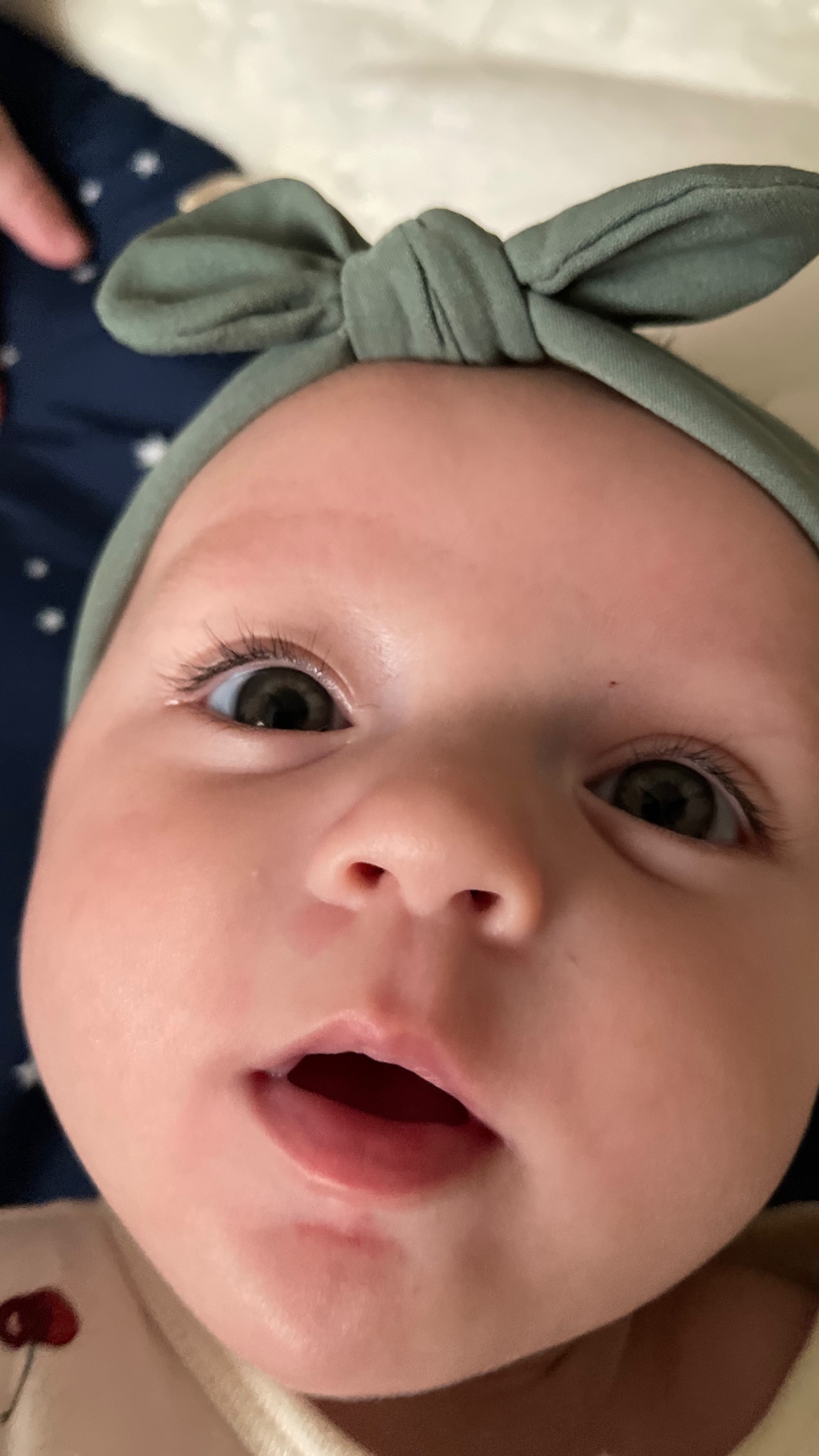 Help Give Ellie a Beautiful Memorial campaign photo, 5 of 8
