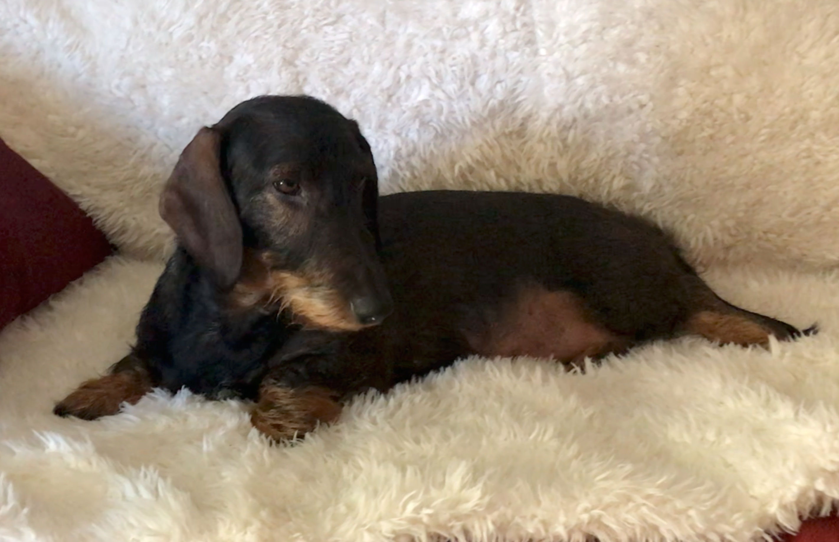 Skyler Was Heaven-Sent — Now She Needs Our Help campaign photo, 6 of 7