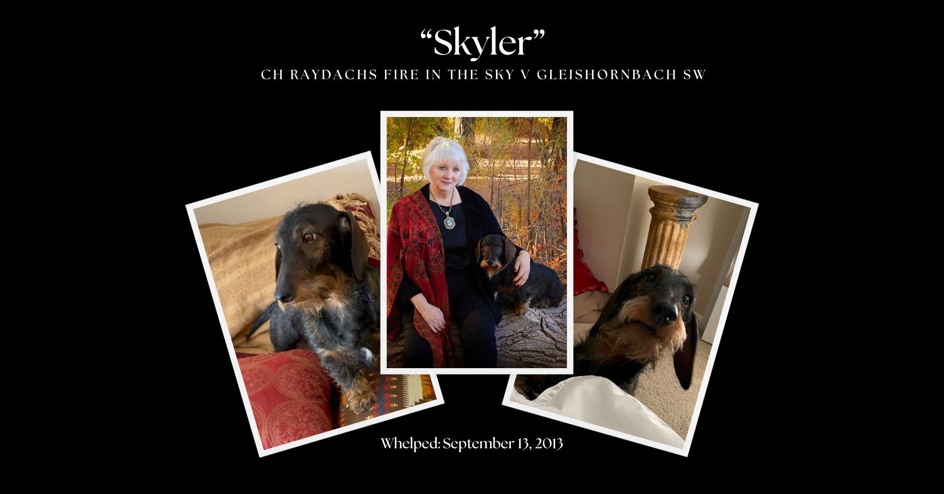 Skyler Was Heaven-Sent — Now She Needs Our Help campaign photo, 2 of 7