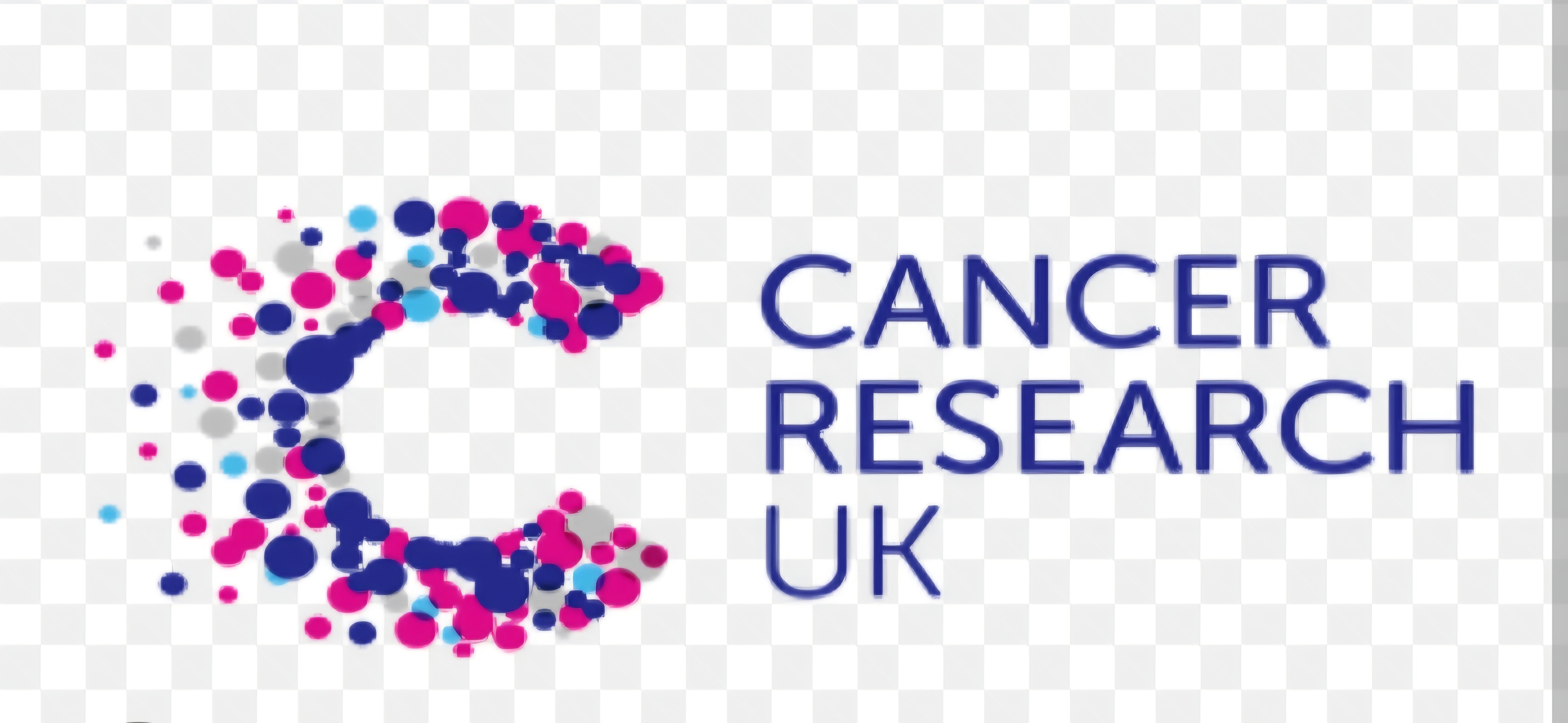 Boxing day dip for Cancer Research campaign photo, 2 of 4