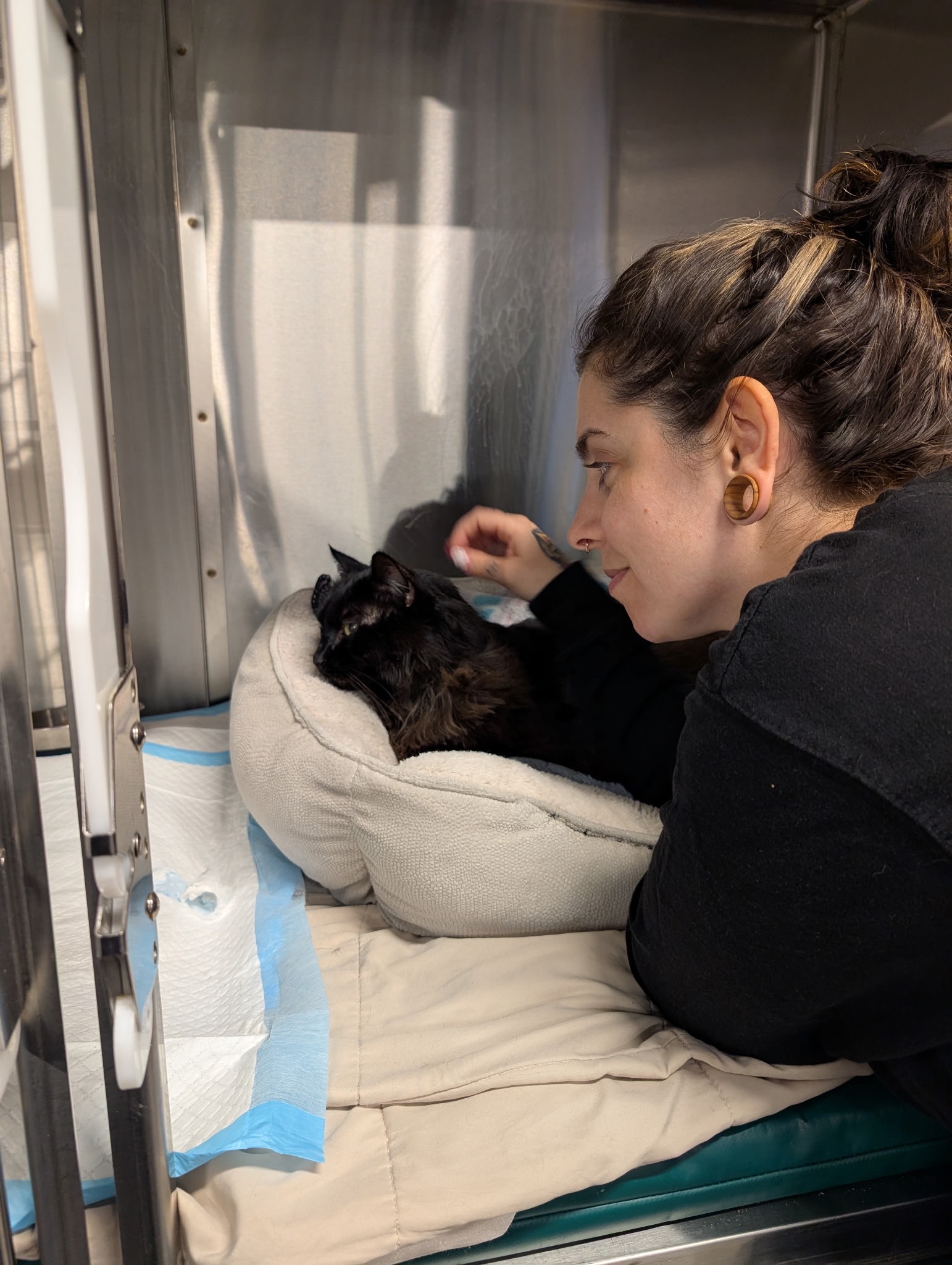 Help Lauren & Henry Recover from Emergency Vet Bills campaign photo, 6 of 7