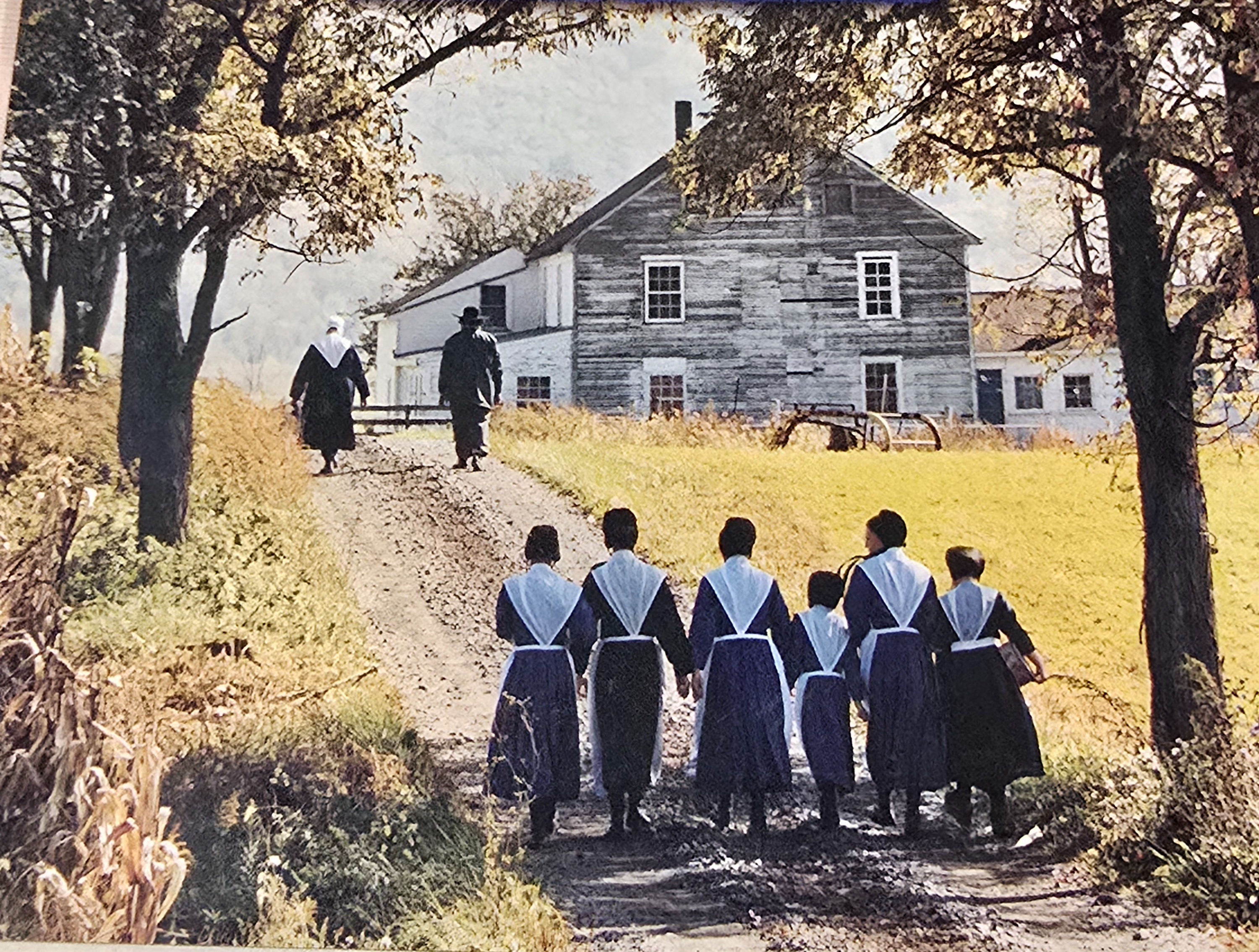 User-uploaded image 1