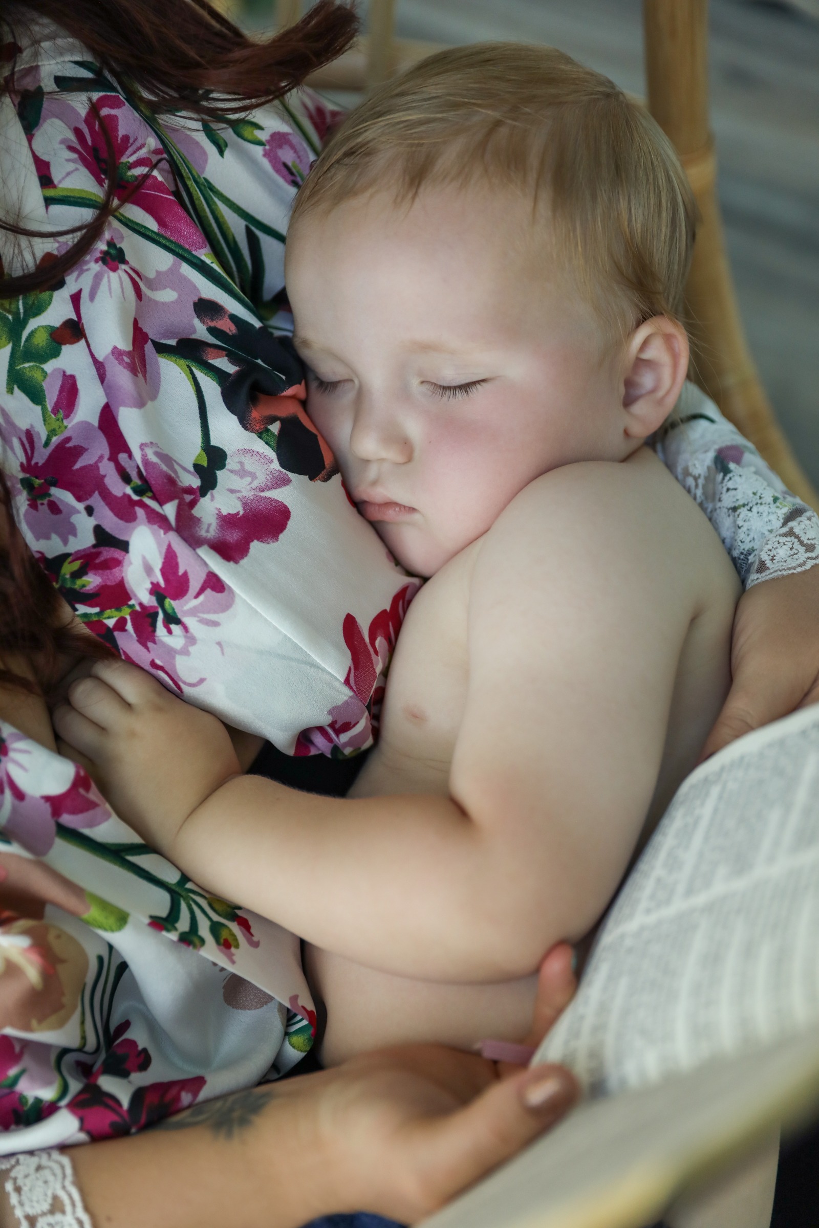 Help Torrie & Jasper Heal & Restore After Mold Poisoning campaign photo, 2 of 5