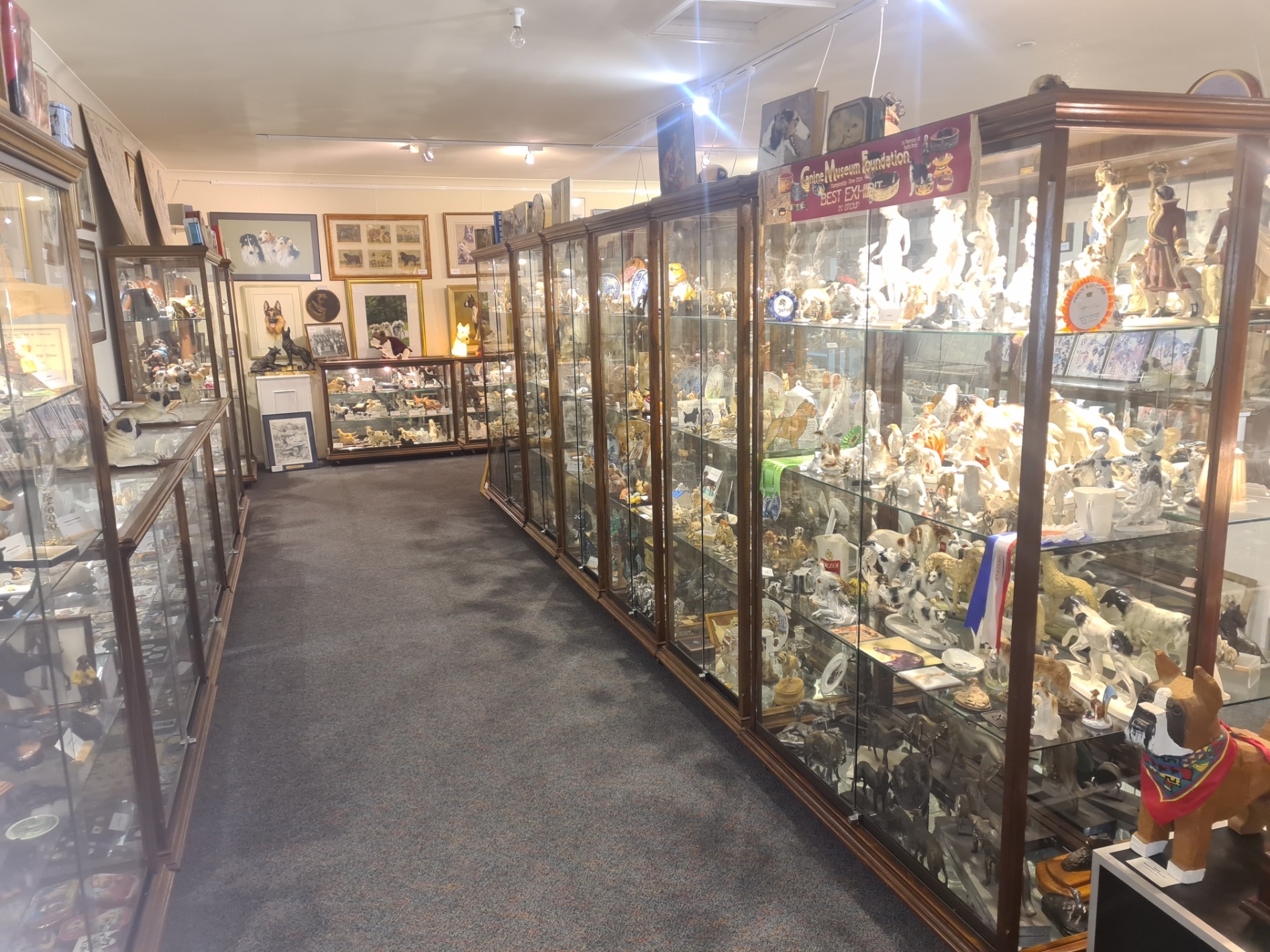 The Canine Museum Extension Project campaign photo, 2 of 5