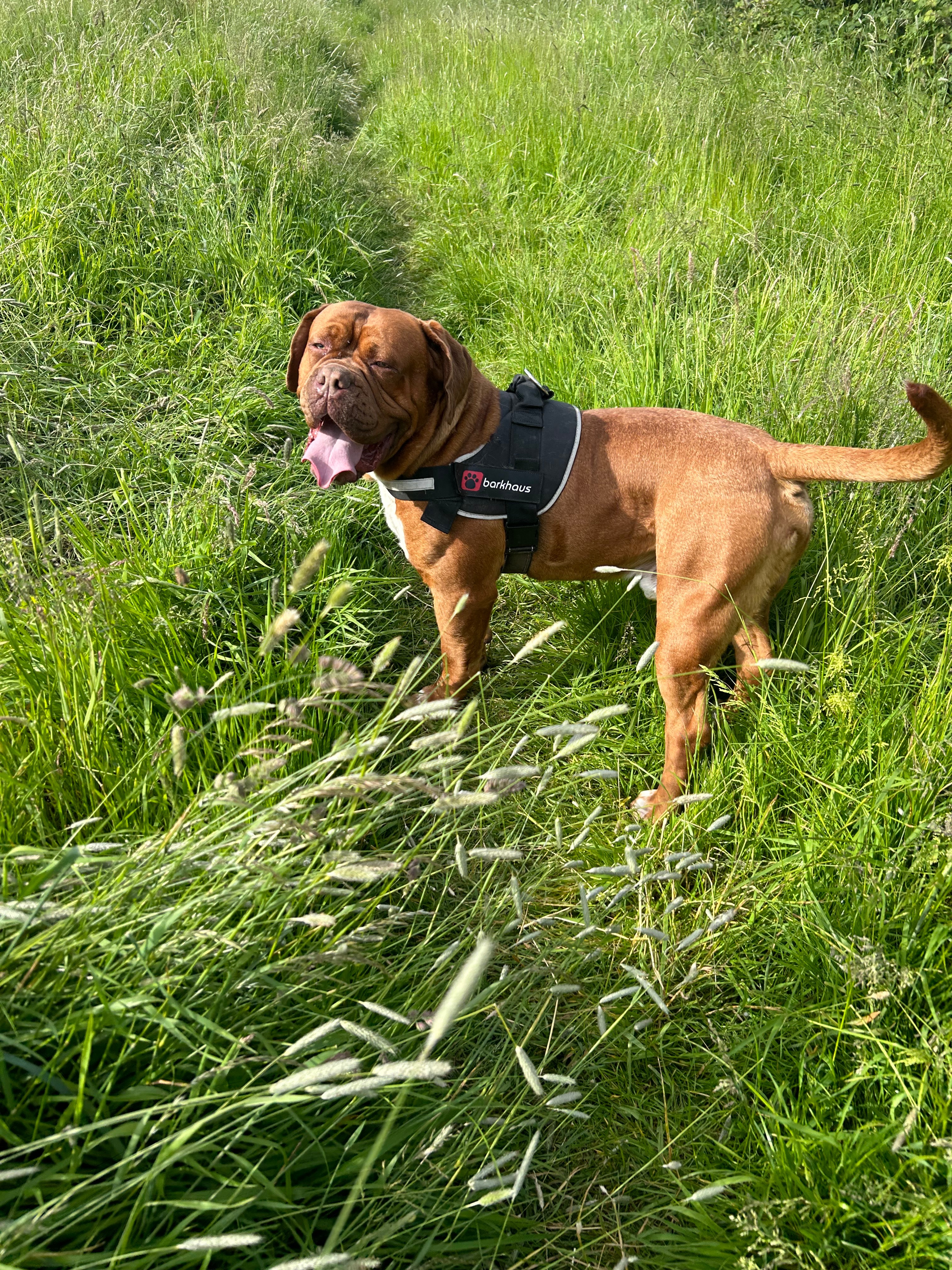 Please help Stanley campaign photo, 2 of 4