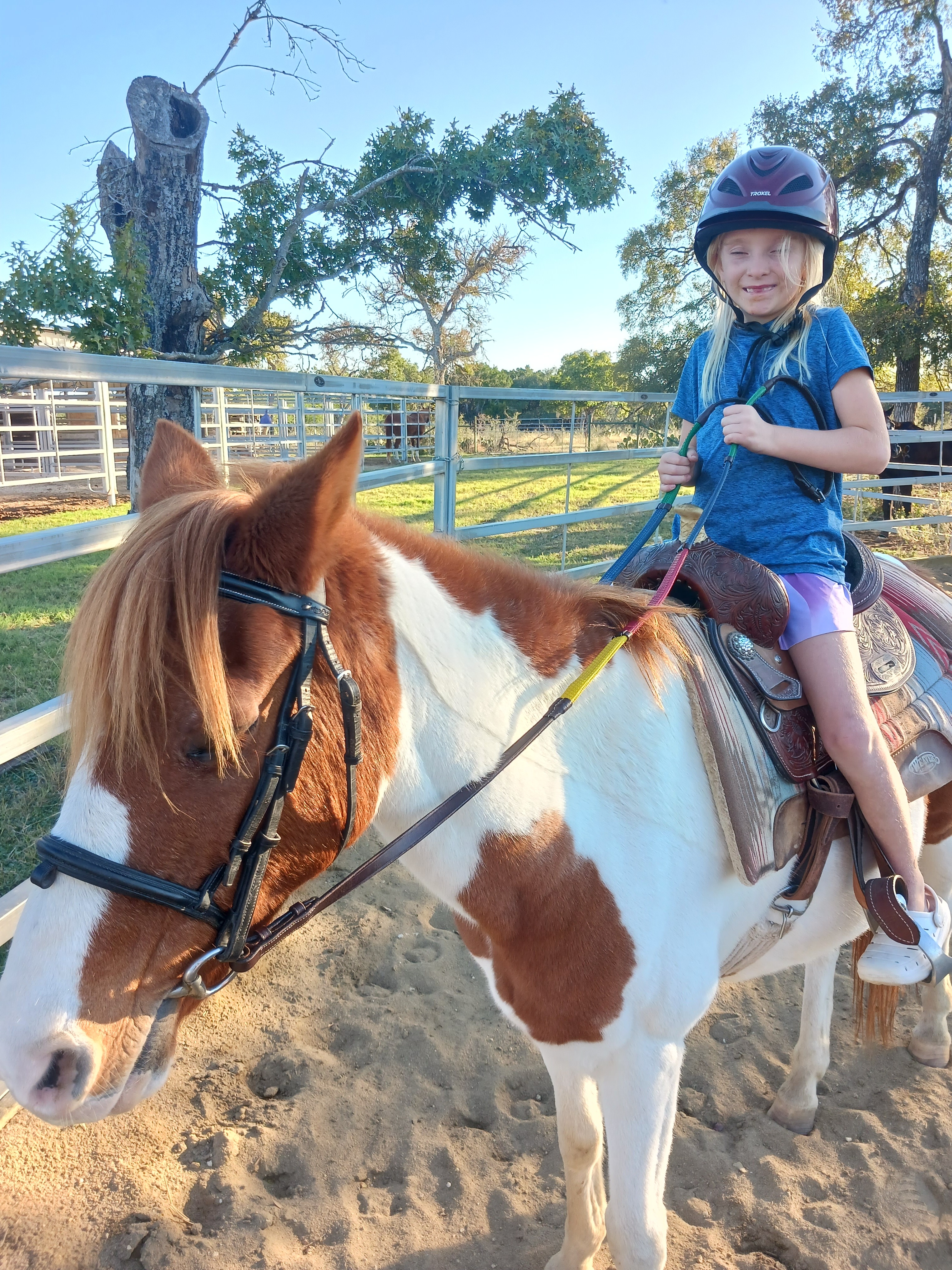 Donate to Save Texas, Our Sweet Beloved Pony campaign photo, 2 of 4