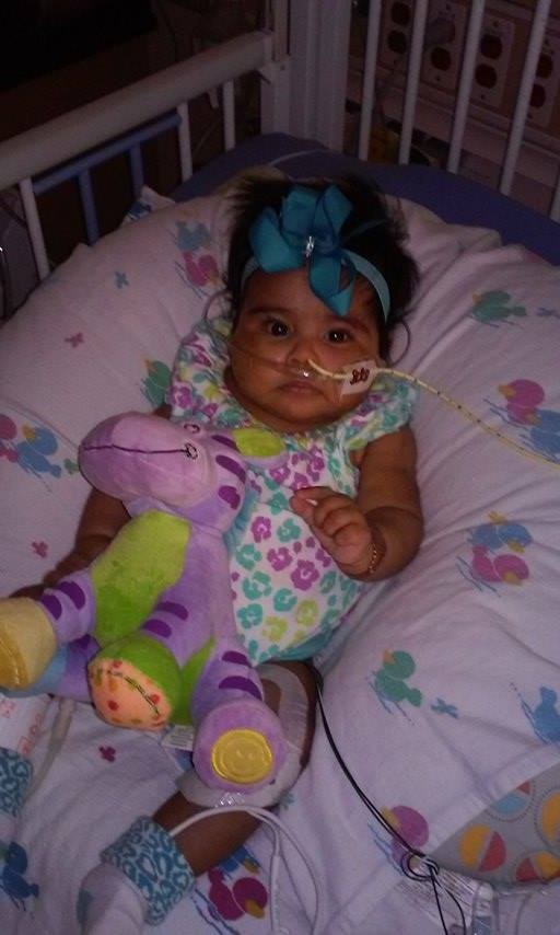 Support Mila's Journey to Health and Healing campaign photo, 5 of 8