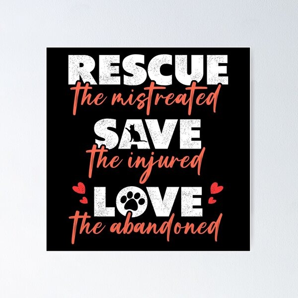 Urgent appeal for rescued animals campaign photo, 7 of 8