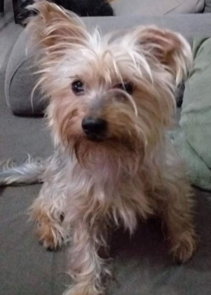Urgent appeal for rescued animals campaign photo, 6 of 8