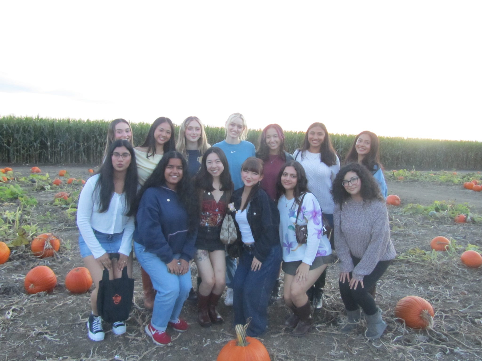 Support Epsilon Beta Bees' Community Service campaign photo, 2 of 4