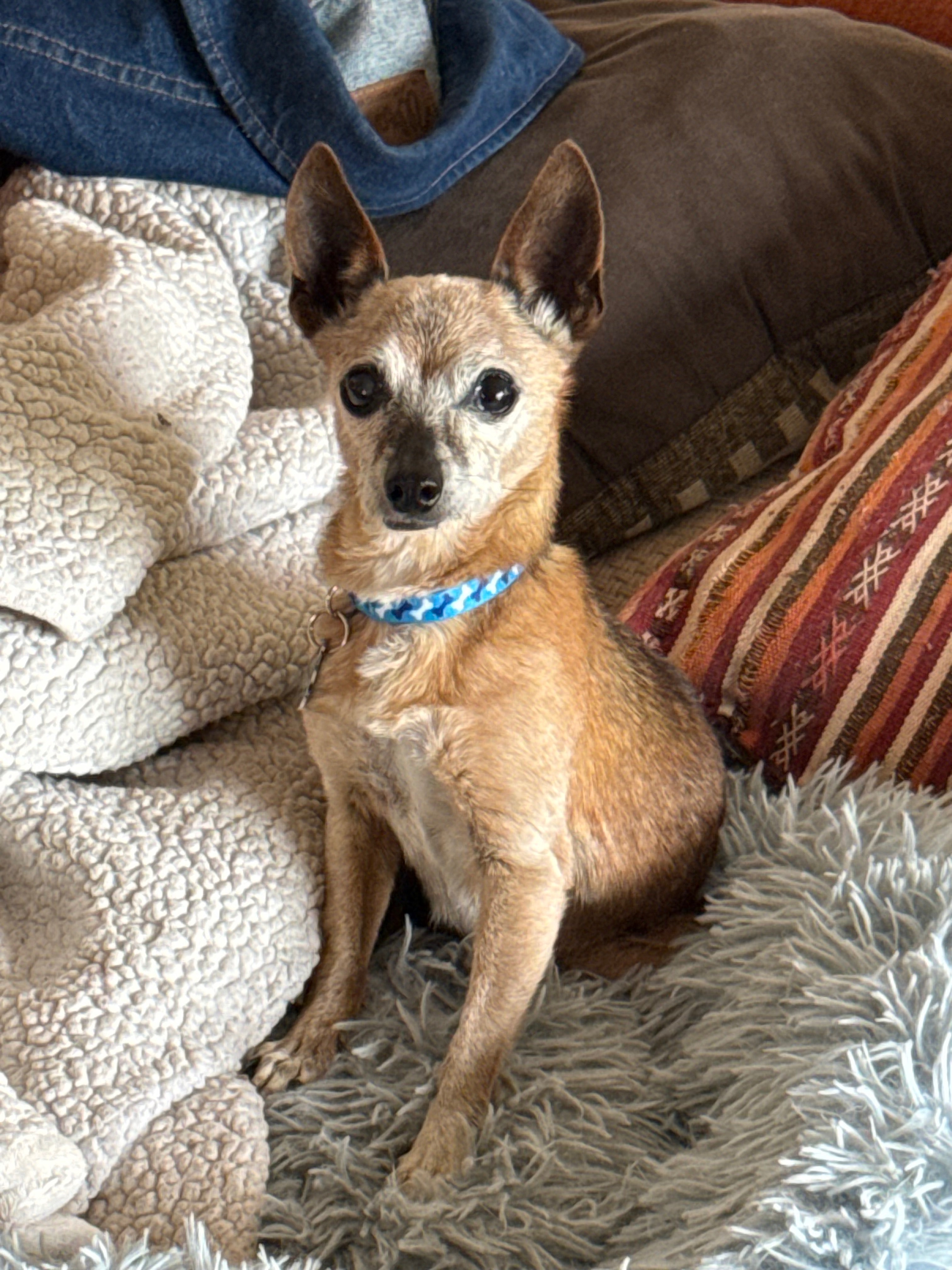 Help Taquita Belle Get Vital Medical Care campaign photo, 6 of 7