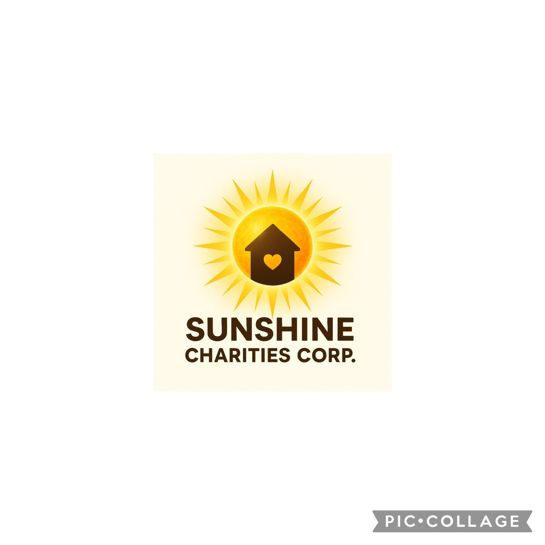 User-uploaded image 1