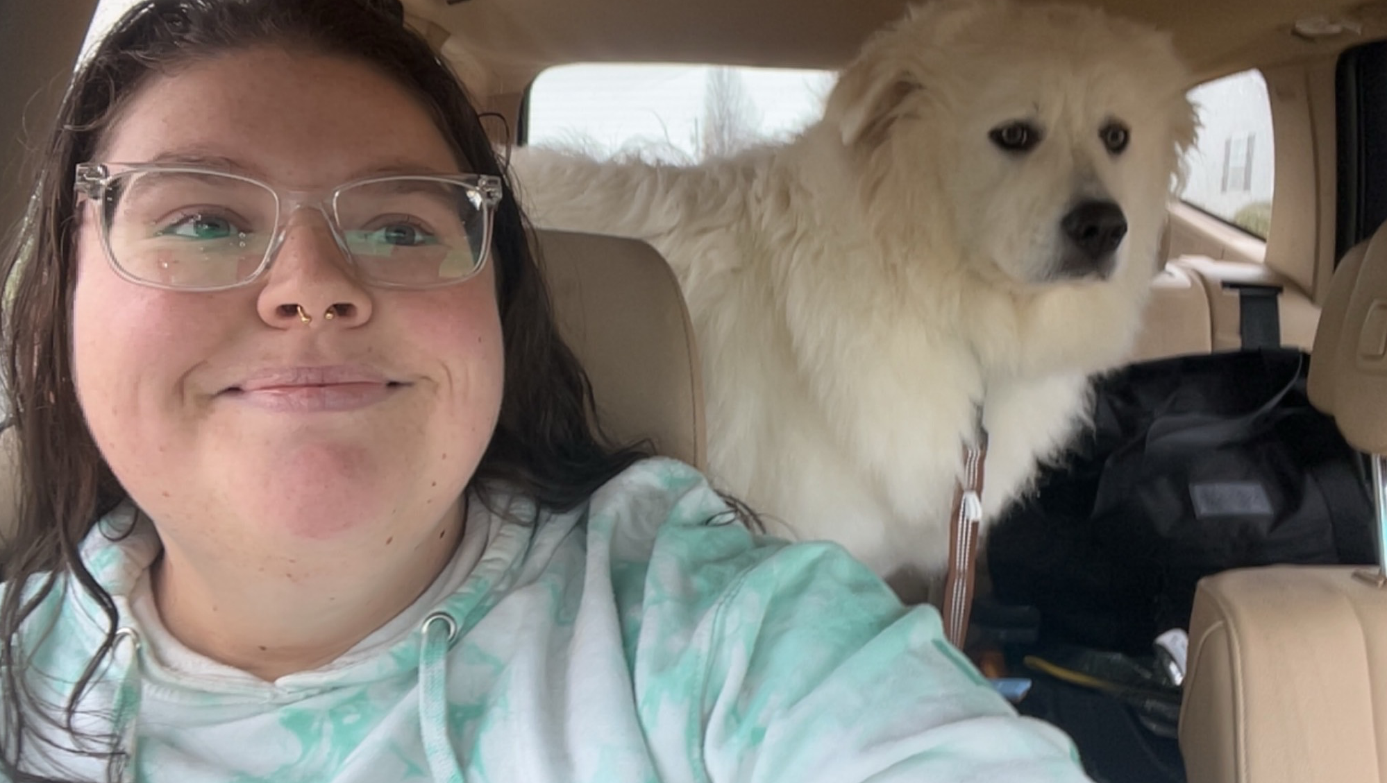 Donate to Taylor's Service Dog Training