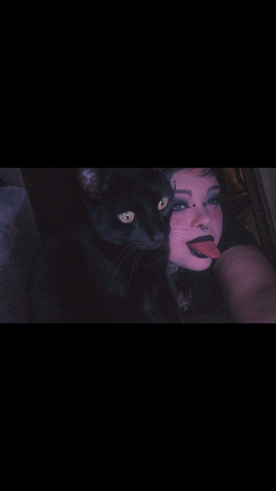 Help Save a Beloved Cat in Critical Condition campaign photo, 6 of 6