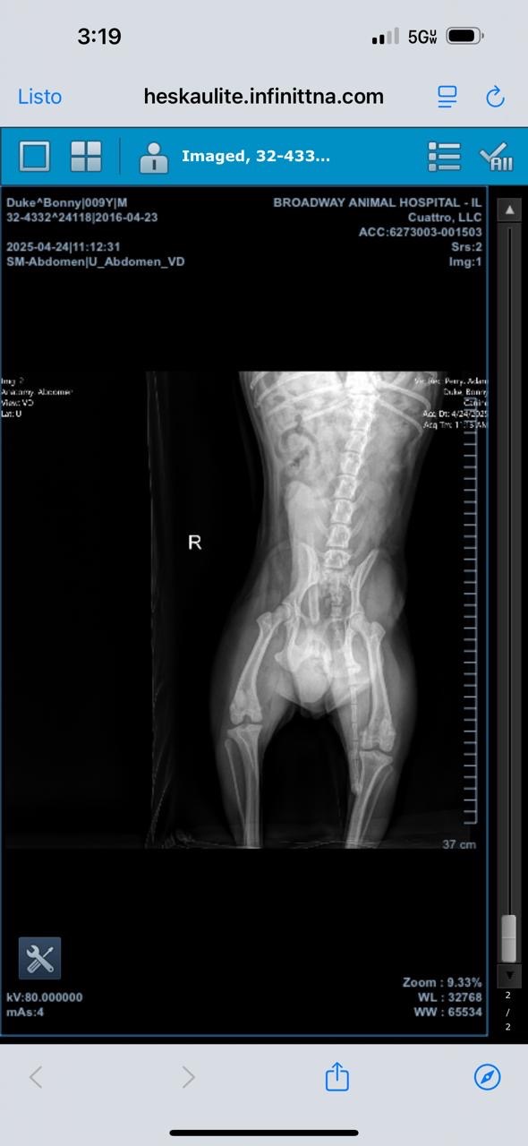 Bonny’s surgery campaign photo, 6 of 7