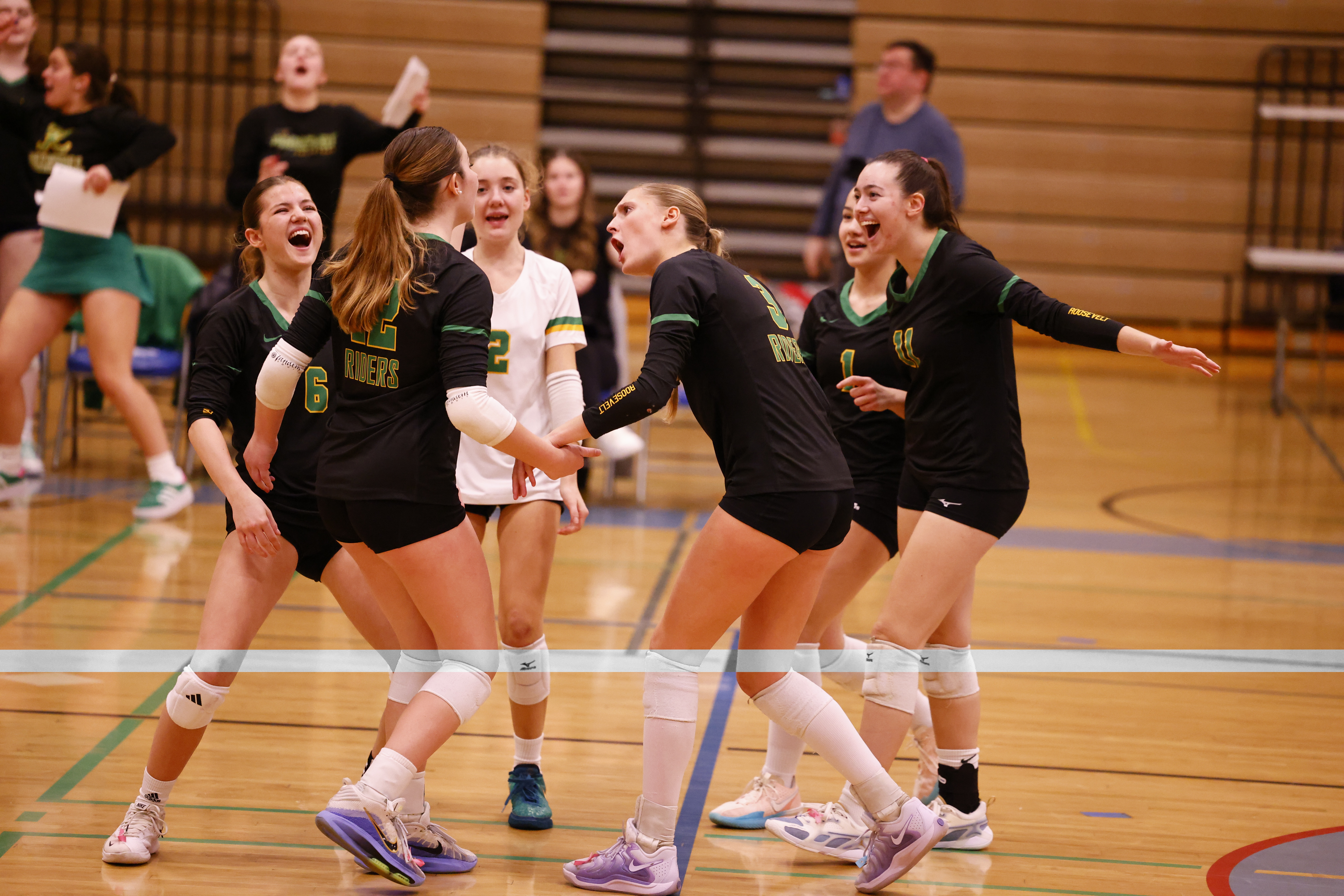 Help Roosevelt Volleyball Get to State! campaign photo, 6 of 6