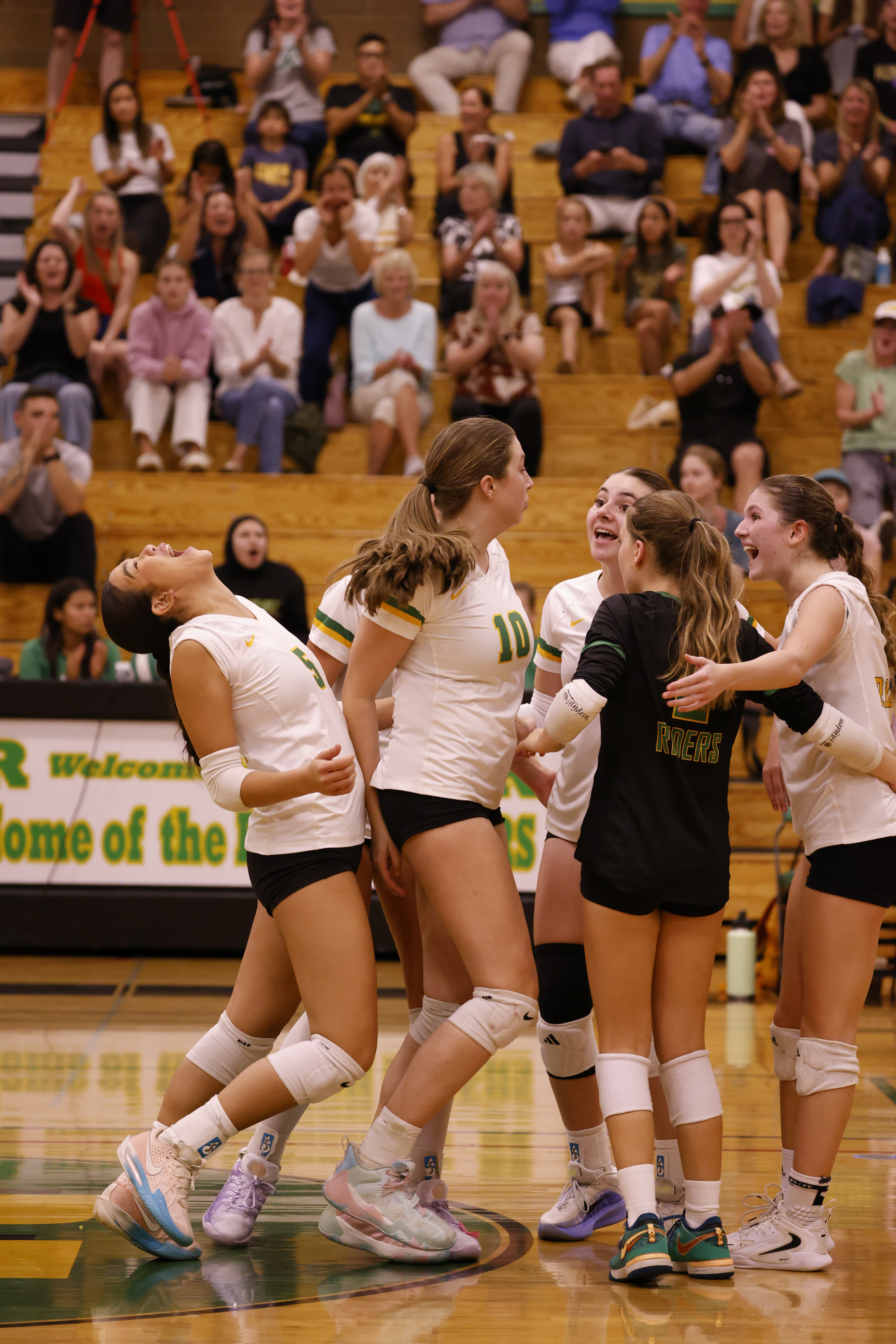 Help Roosevelt Volleyball Get to State! campaign photo, 2 of 6
