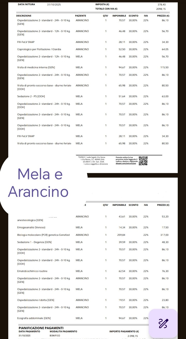 AIUTACI A SALVARLI! campaign photo, 5 of 7