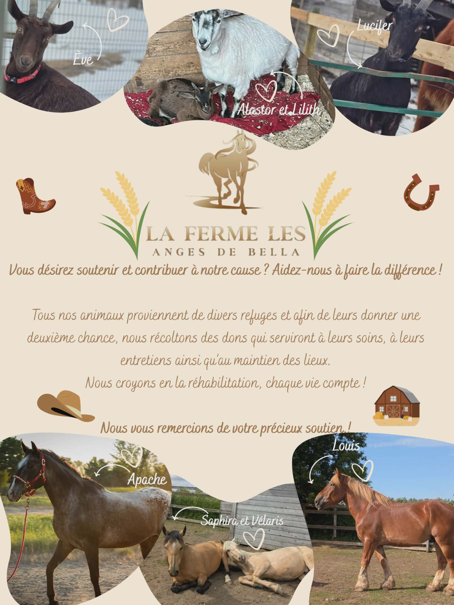 Faites un don pour aider nos animaux campaign photo, 7 of 8